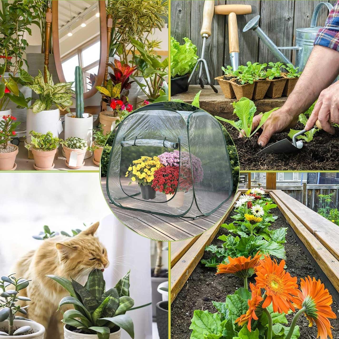 Cubierta Invernadero Pop Up Hkvoxim 99x99x99cm PVC Transparente