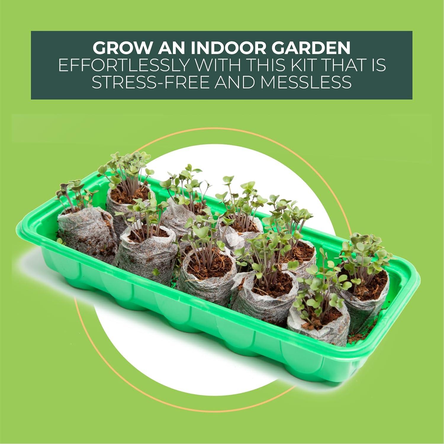 Kit de Inicio de Semillas Window Garden - Mini Invernadero 3 Bandejas