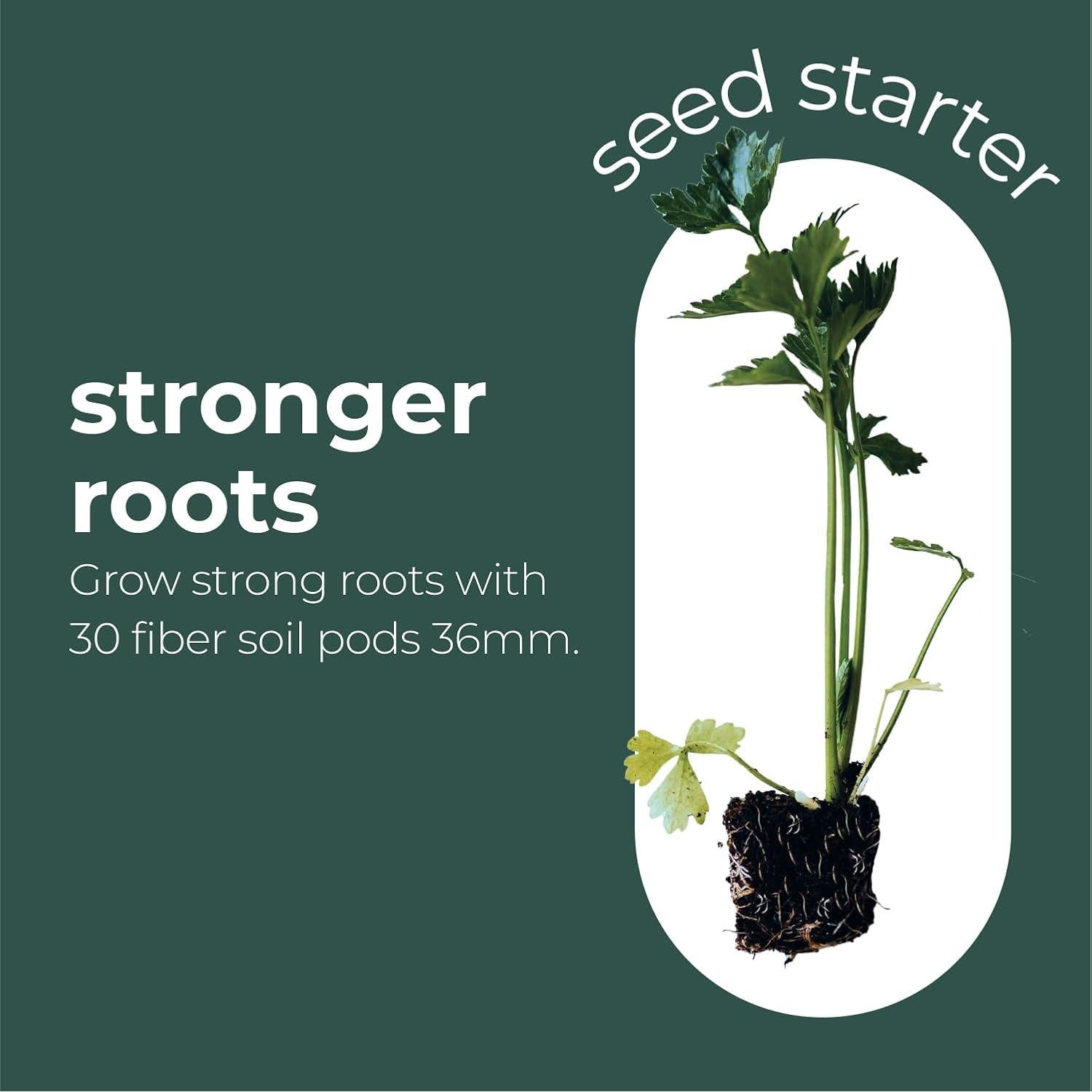 Kit de Inicio de Semillas Window Garden - Mini Invernadero 3 Bandejas