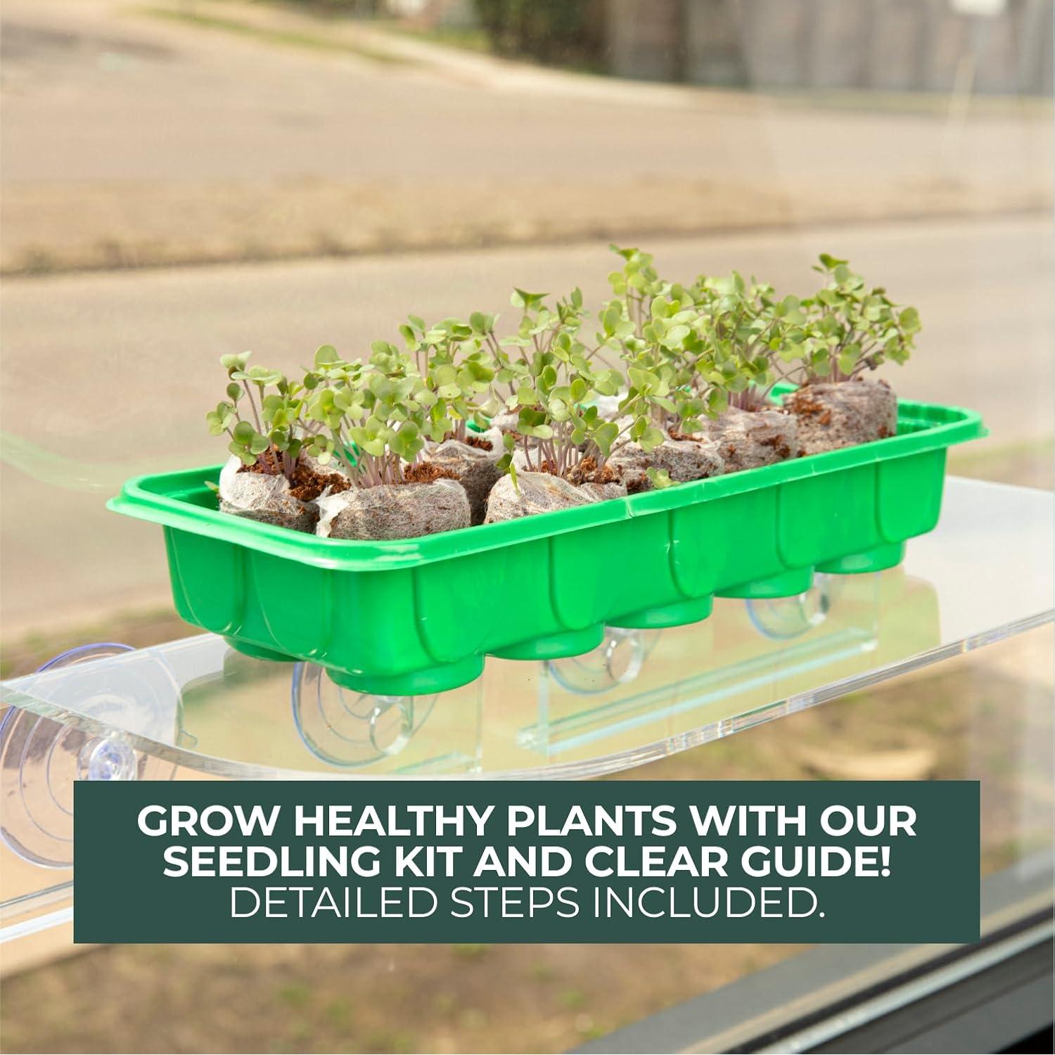 Kit de Inicio de Semillas Window Garden - Mini Invernadero 3 Bandejas