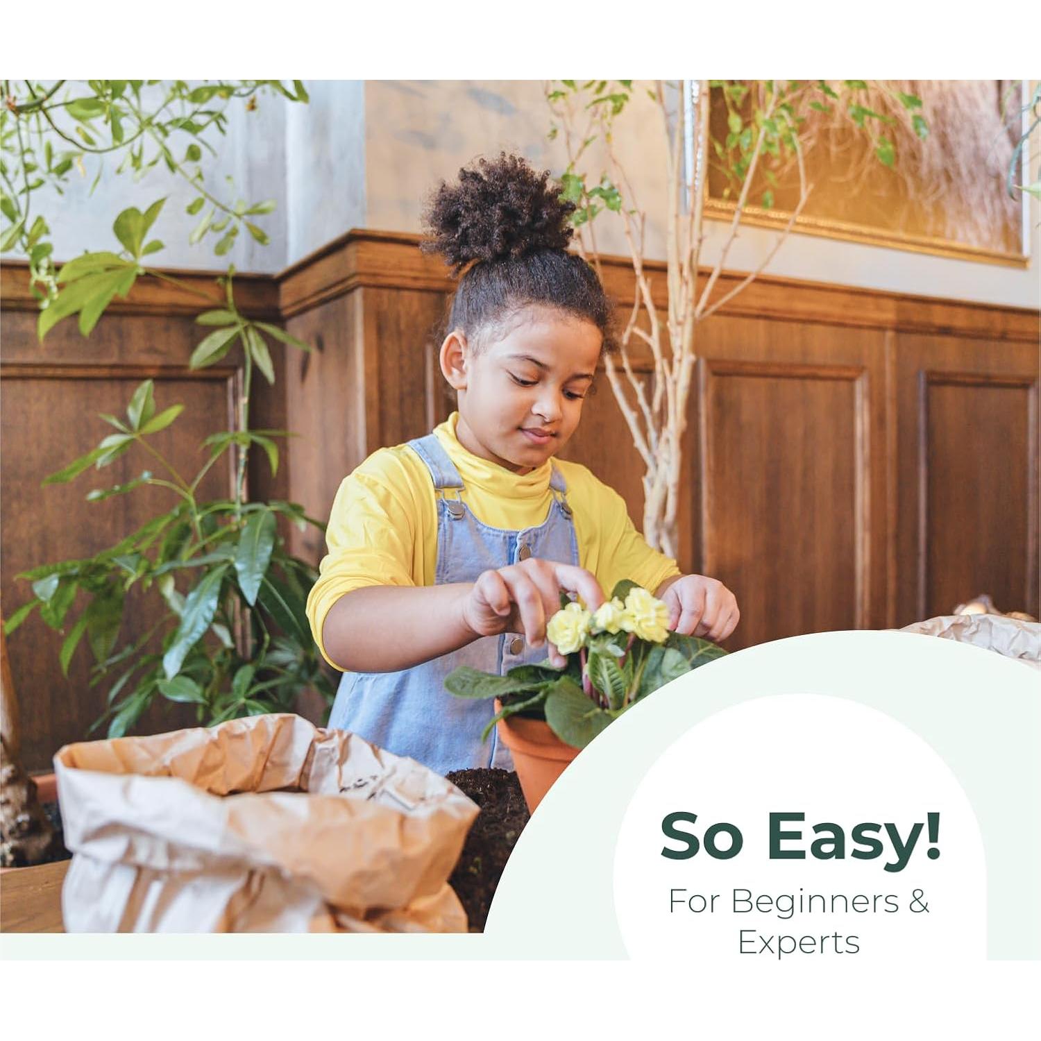 Kit de Inicio de Semillas Window Garden - Mini Invernadero 3 Bandejas