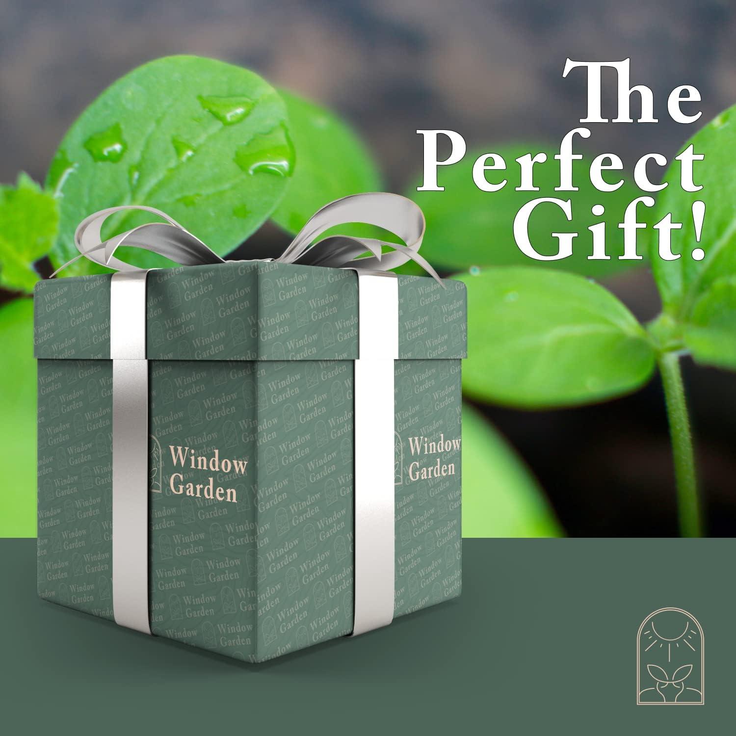 Kit de Inicio de Semillas Window Garden - Mini Invernadero 3 Bandejas