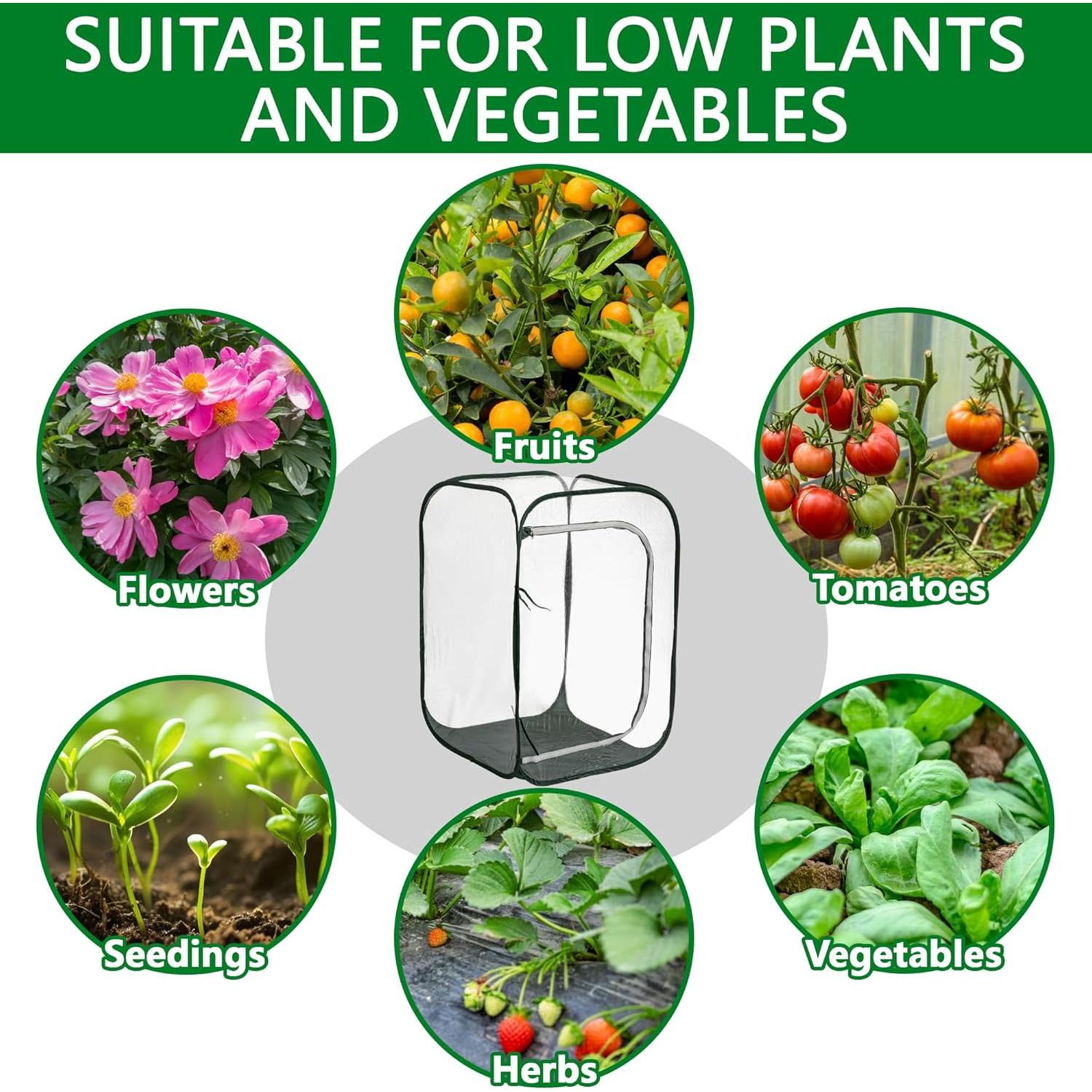 Mini Invernadero Pop Up DECOHS 61x61x91 cm PVC Transparente