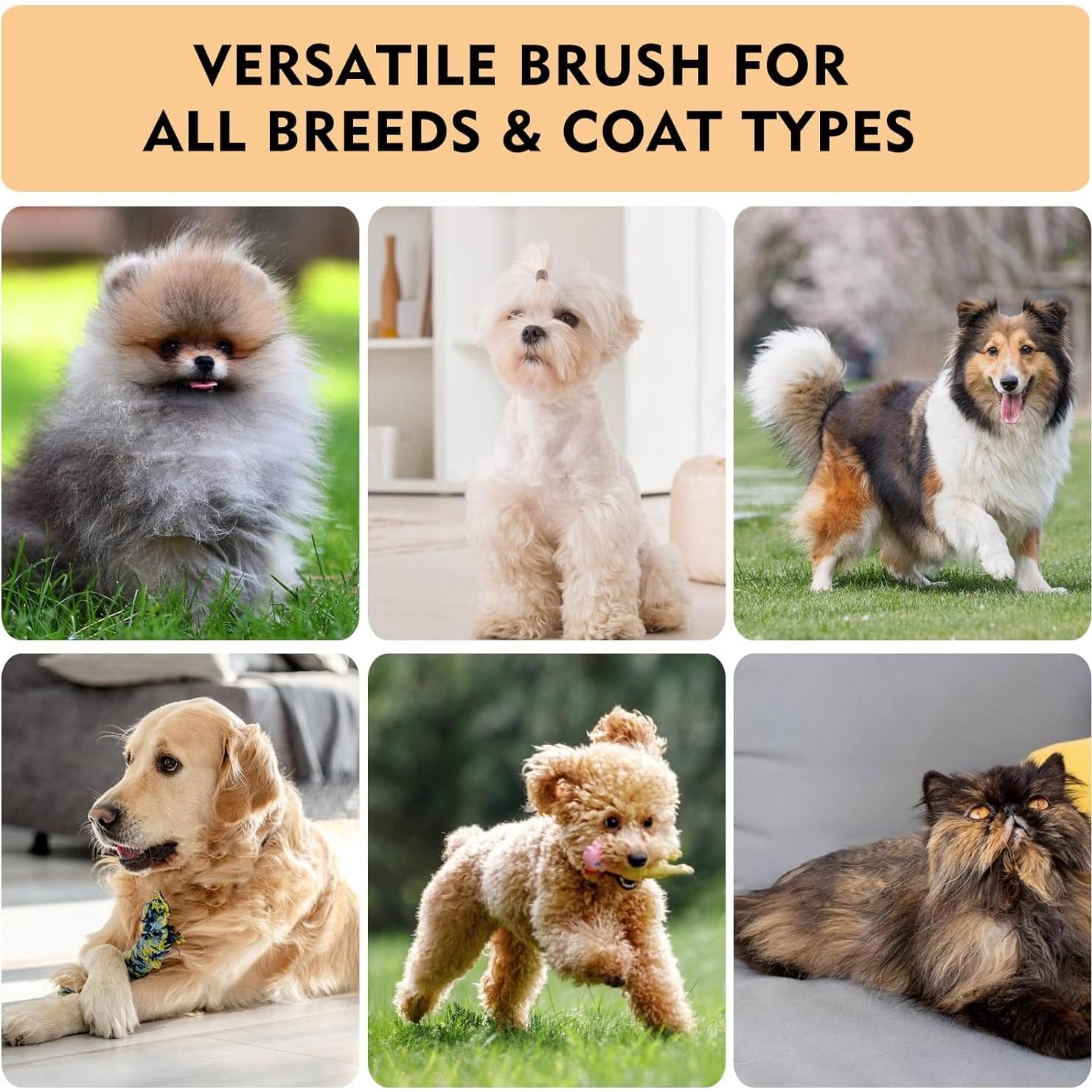 Cepillo Slicker para Perros y Gatos SGSYRYCO - Acicalamiento Efectivo