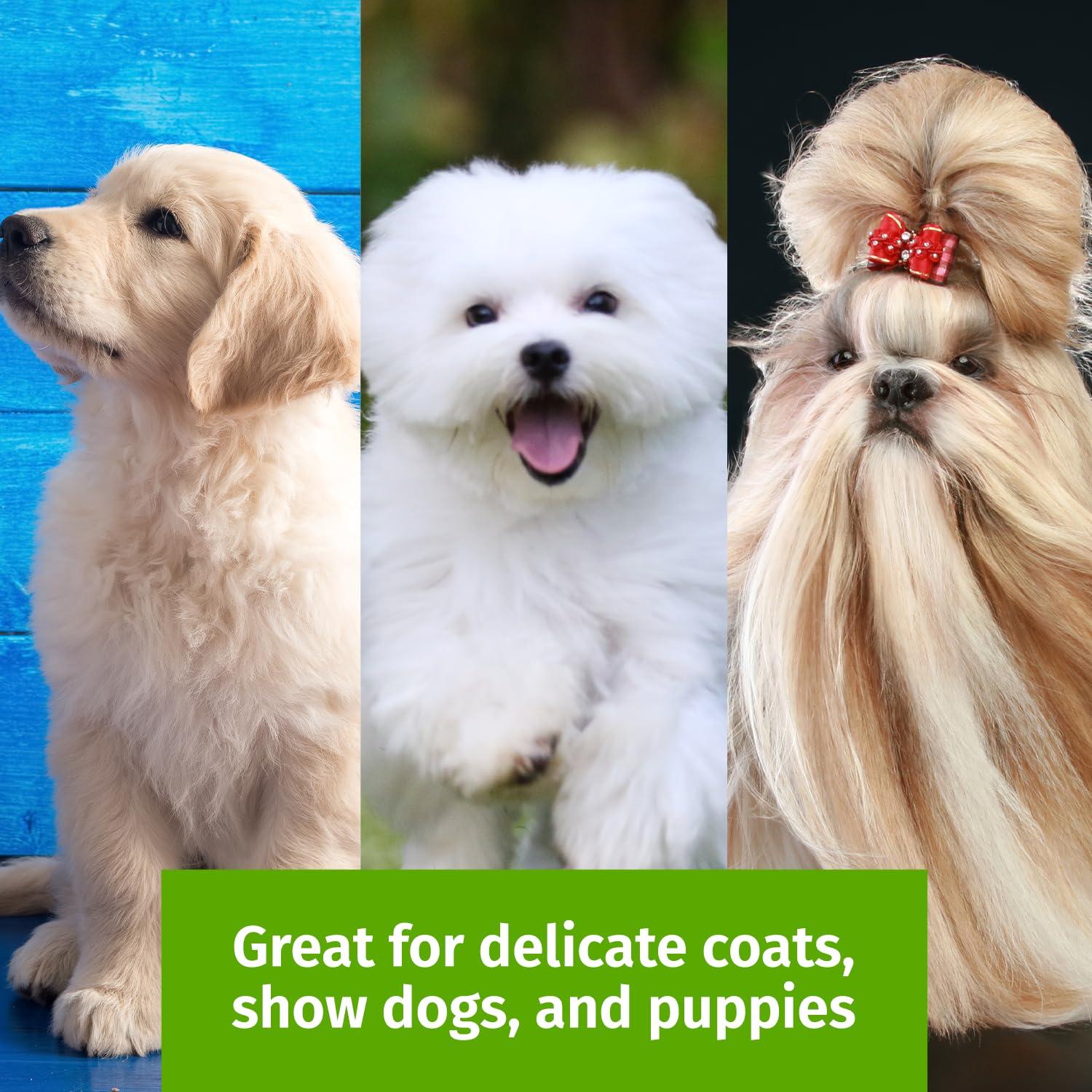 Cepillo Slicker Show Tech Tuffer Than Tangles Mediano para Perros