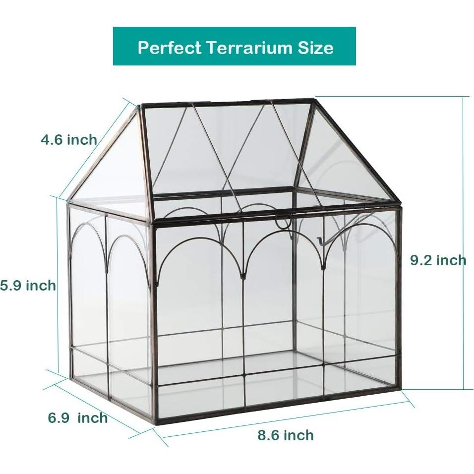 Terrario de vidrio Purzest forma de casa con tapa abatible 22.1x23.4x17.5 cm
