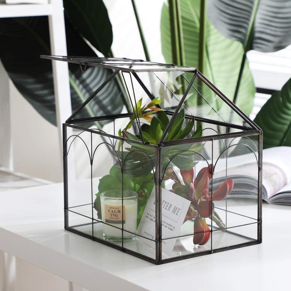 Terrario de vidrio Purzest forma de casa con tapa abatible 22.1x23.4x17.5 cm