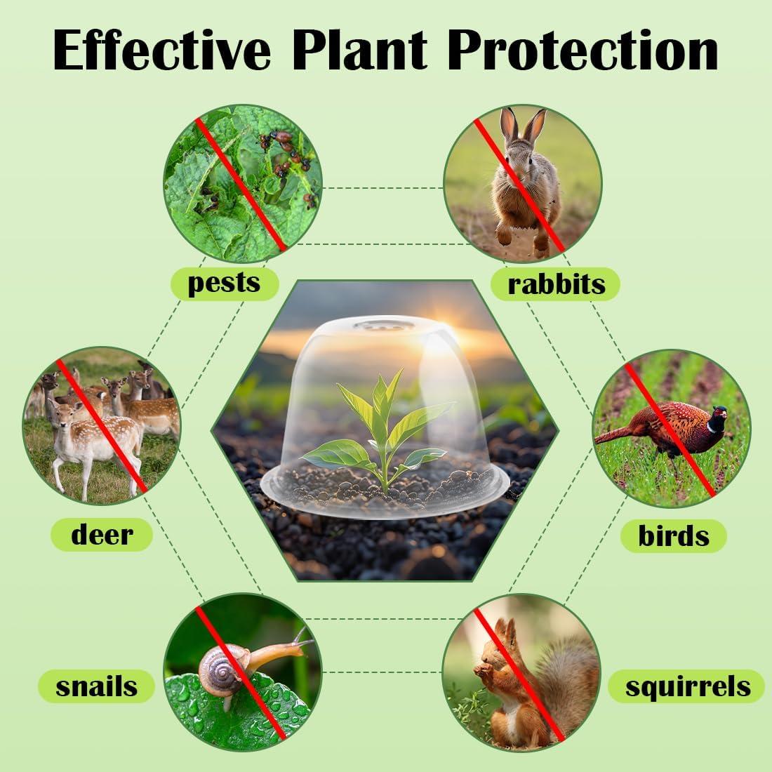 Cloche de Jardín RooTrimmer 5-Pack 25.4 cm D x 17 cm H