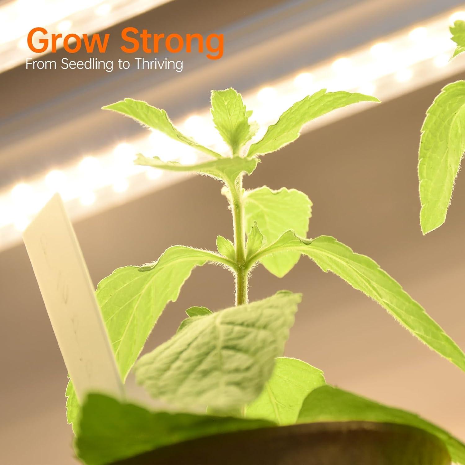 Estante para Plantas Bstrip con Luz de Crecimiento 180cm