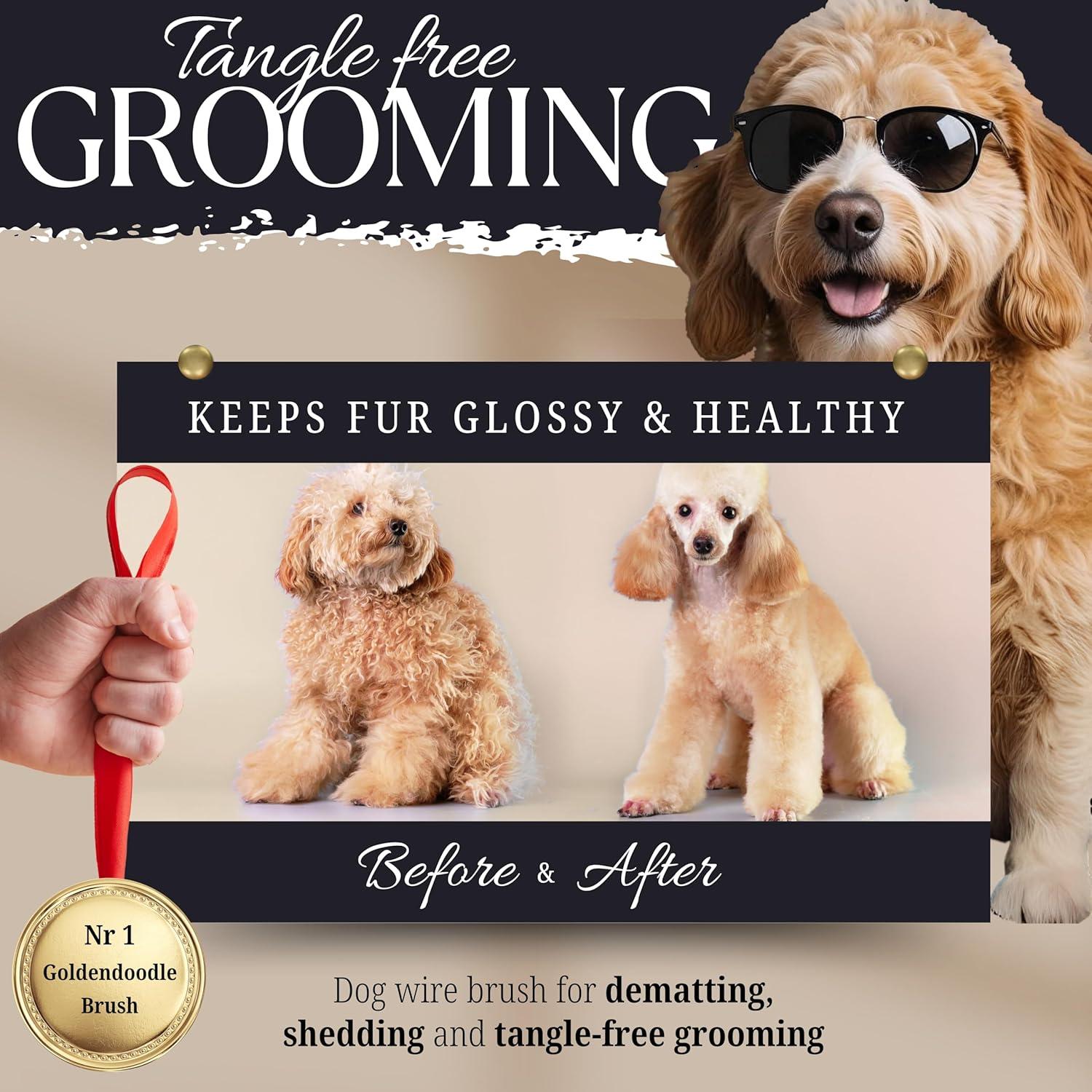 Cepillo Slicker para Perros Bixy Pixy - Grande - Cerdas Largas