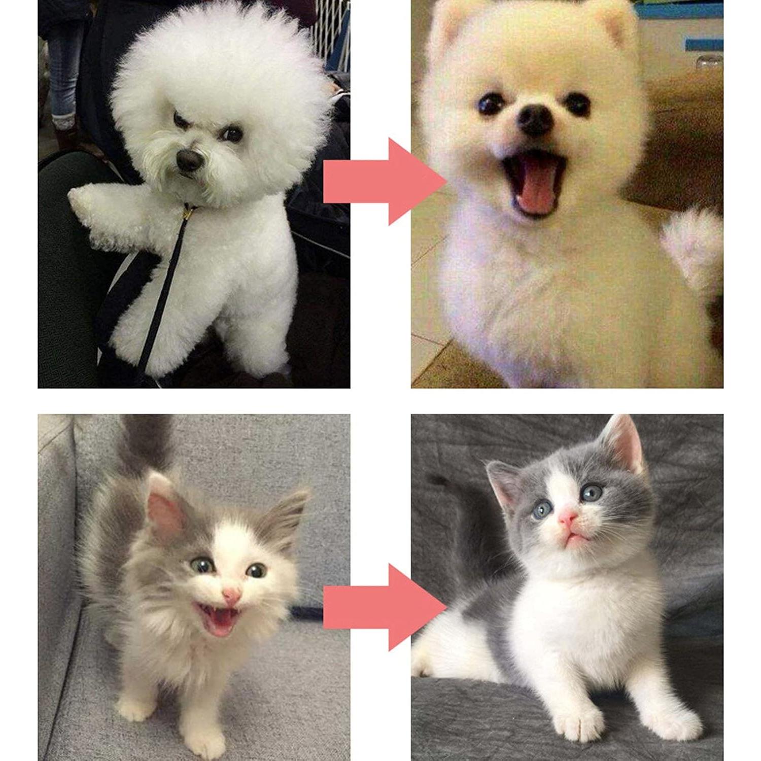 Cepillo Autolimpiante para Mascotas Tnfeeon 13x10cm