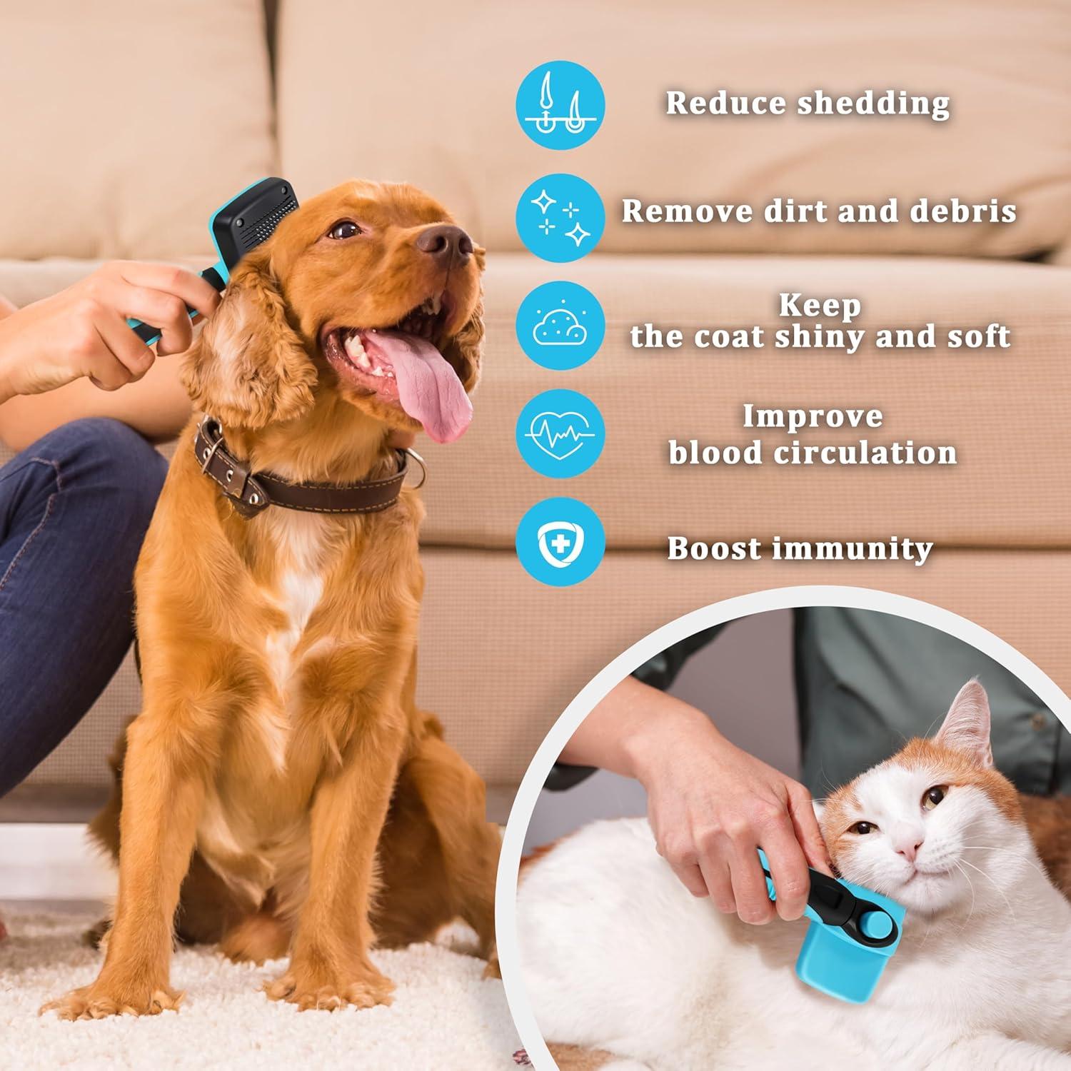 Cepillo Autolimpiante para Mascotas QianRuiDa Azul 26x15cm