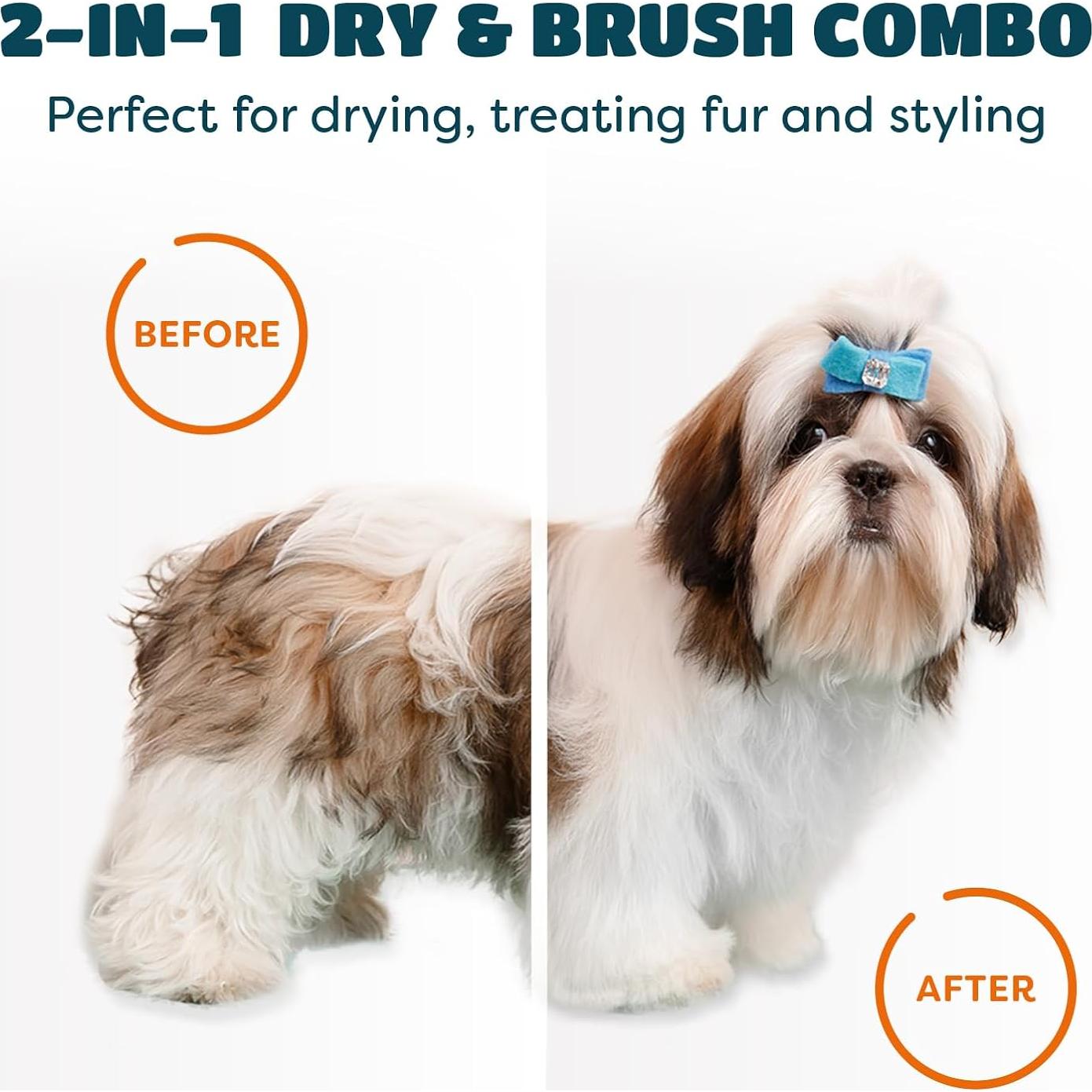 Secador de Pelo 2 en 1 para Perros y Gatos KUUBIA 300W