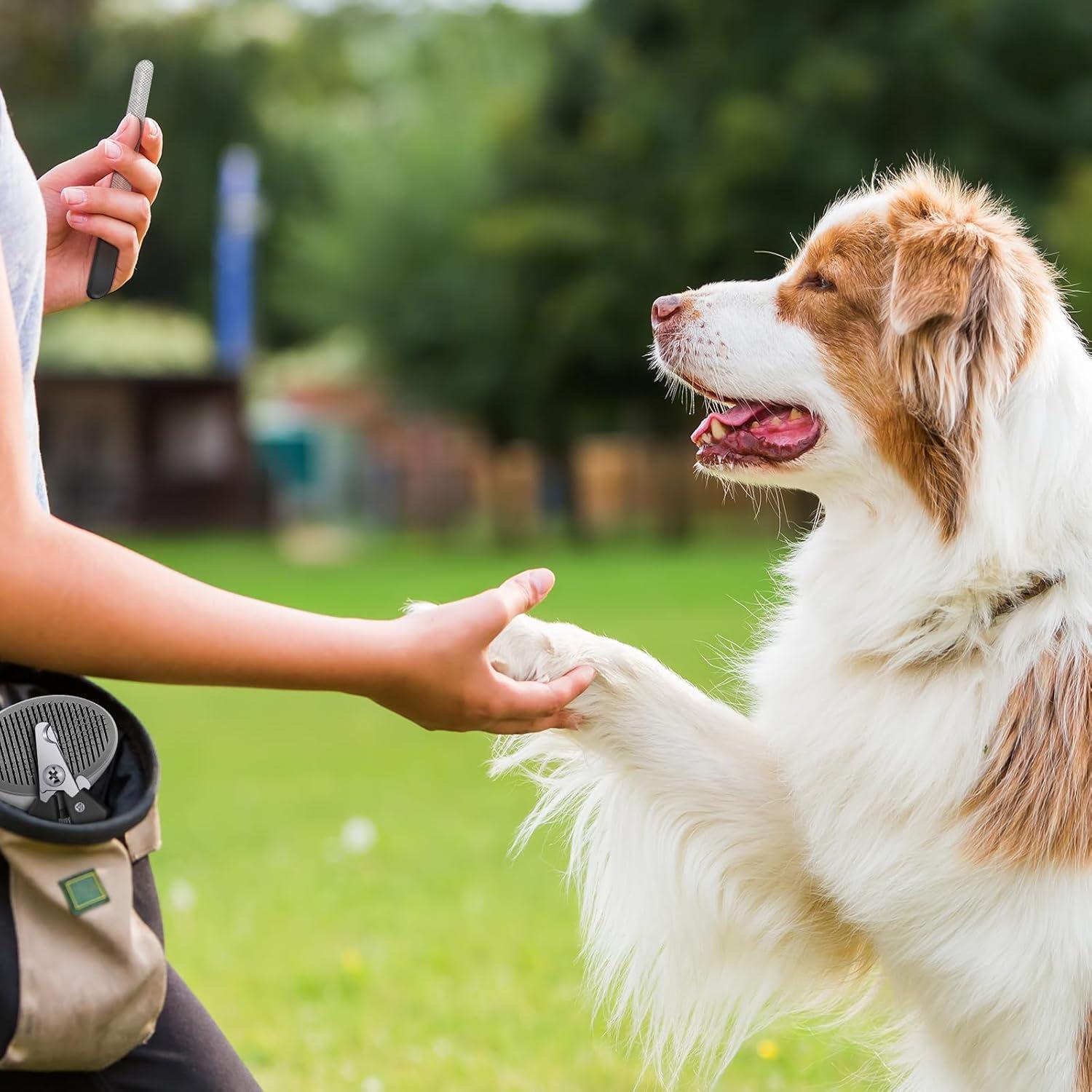 Kit de Aseo para Mascotas Yaomiao 9 Piezas - Cepillo, Cortauñas y Tijeras