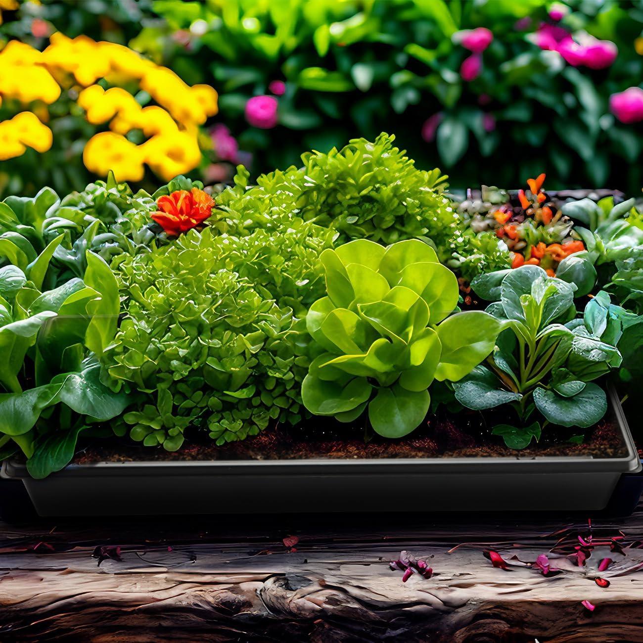 Bandeja de Plantas 1020 RooTrimmer con Domo Alto 18.54 cm - 5 Piezas