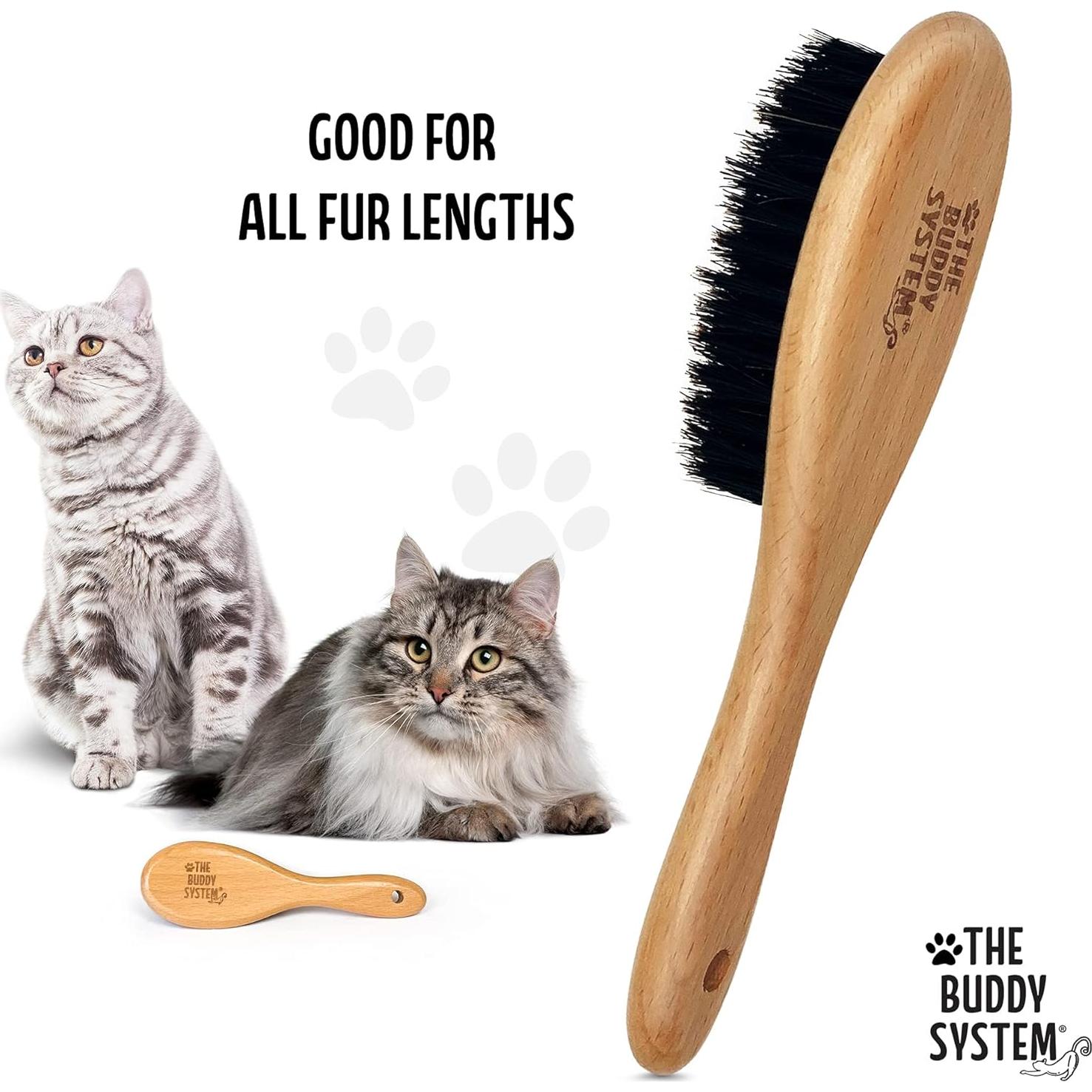 Cepillo para Gatos El Sistema Buddy con Cerdas de Jabalí