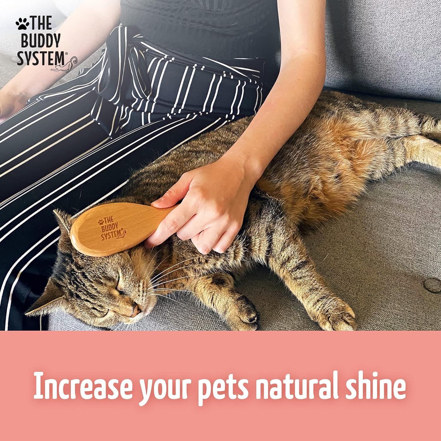 Cepillo para Gatos El Sistema Buddy con Cerdas de Jabalí