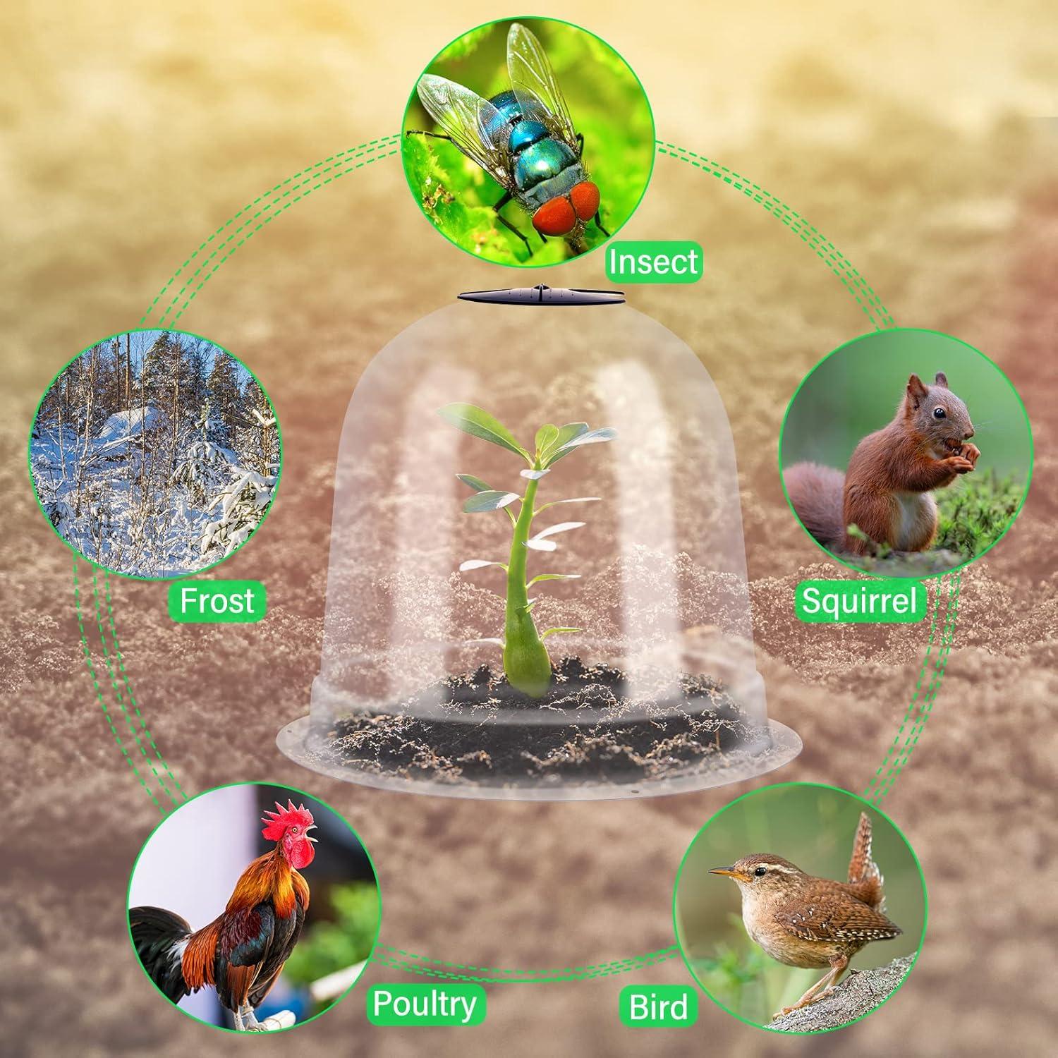 Juego de 20 Domos de Protección para Plantas Zopeal 19.5cm