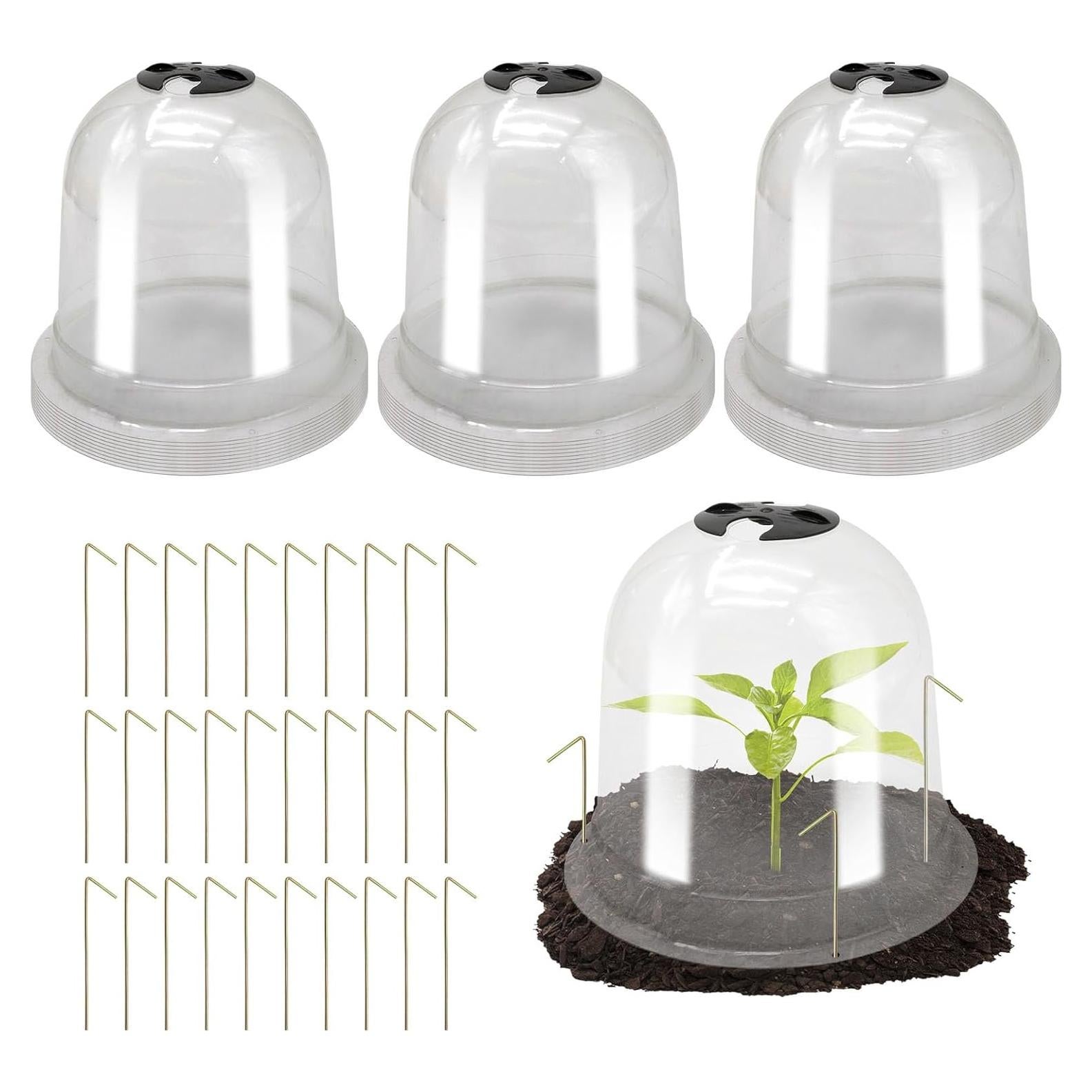 30 Piezas Cubierta Protectora de Plantas Saihisday 19.5 cm