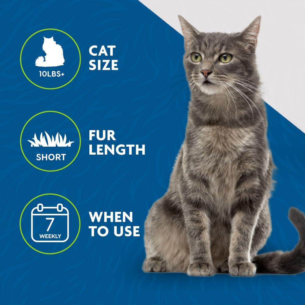 FURminator Herramienta de Deshedding para Gatos Grandes Pelo Corto