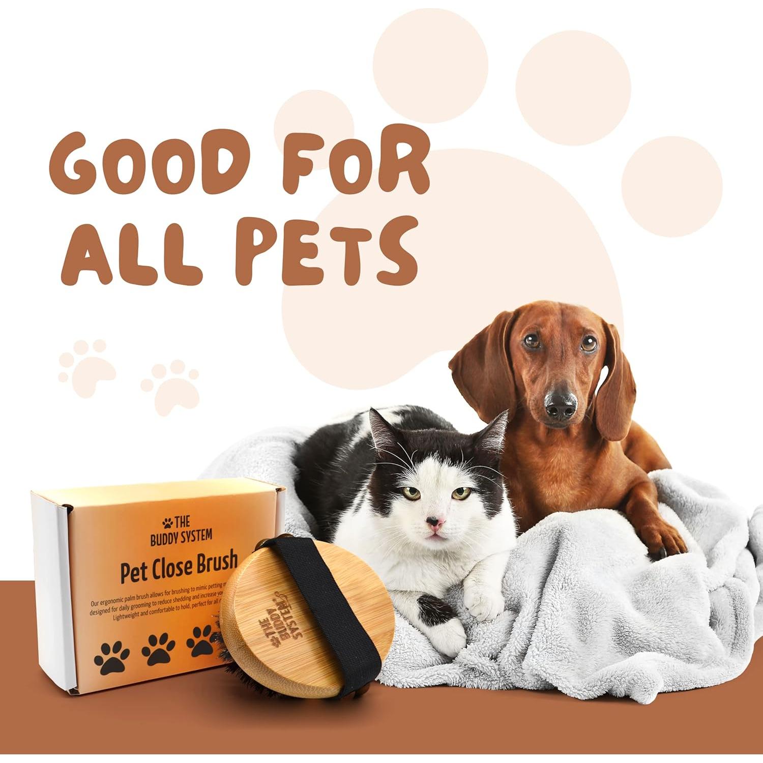 Cepillo de Palma Ovalado Buddy para Perros y Gatos - Cerdas Suaves