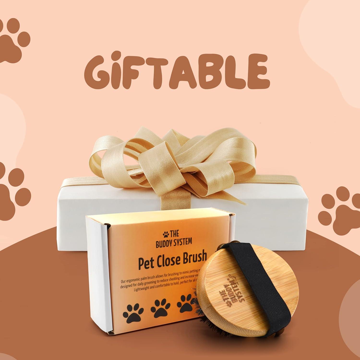 Cepillo de Palma Ovalado Buddy para Perros y Gatos - Cerdas Suaves