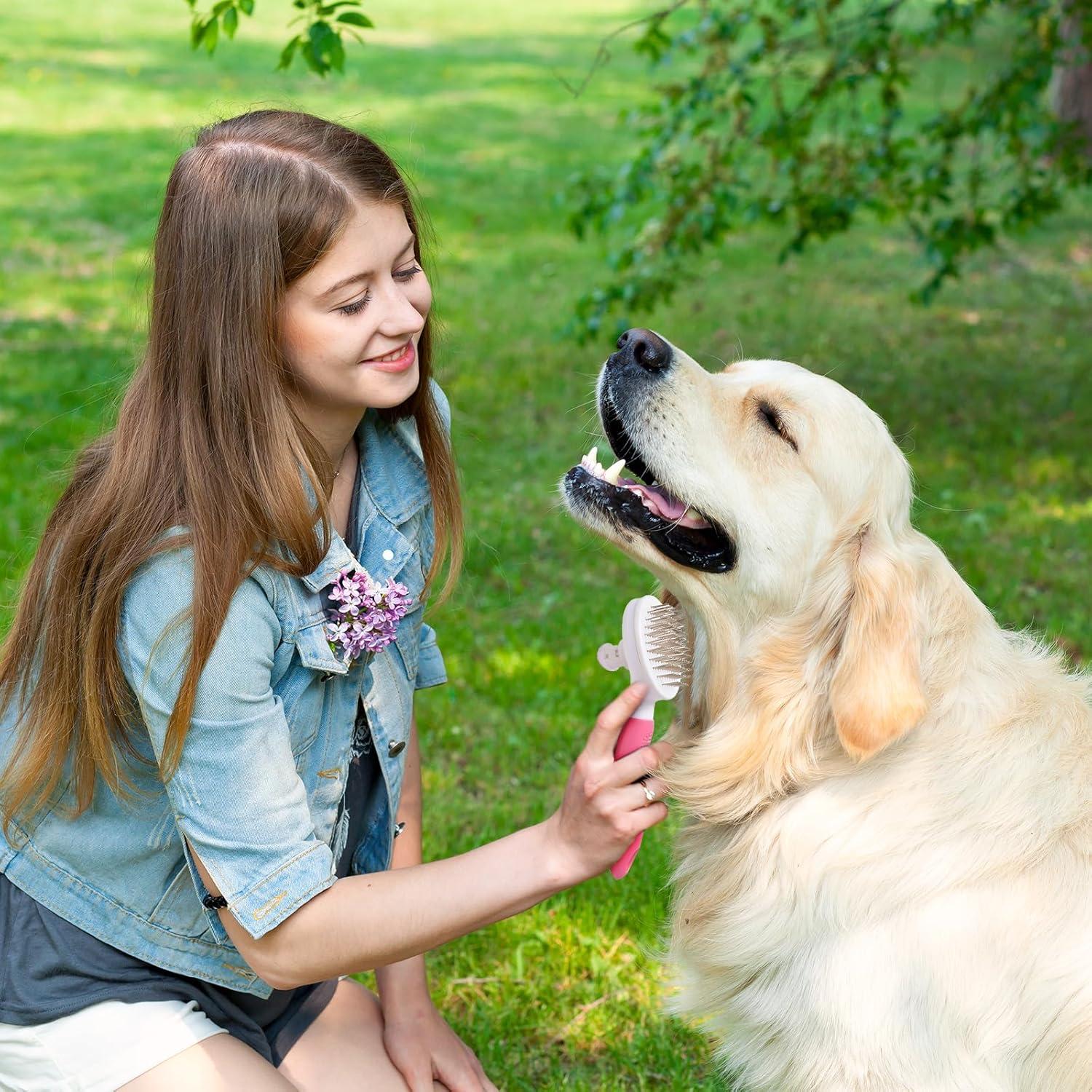 Cepillo de Aseo Autolimpiante para Perros y Gatos Genérico