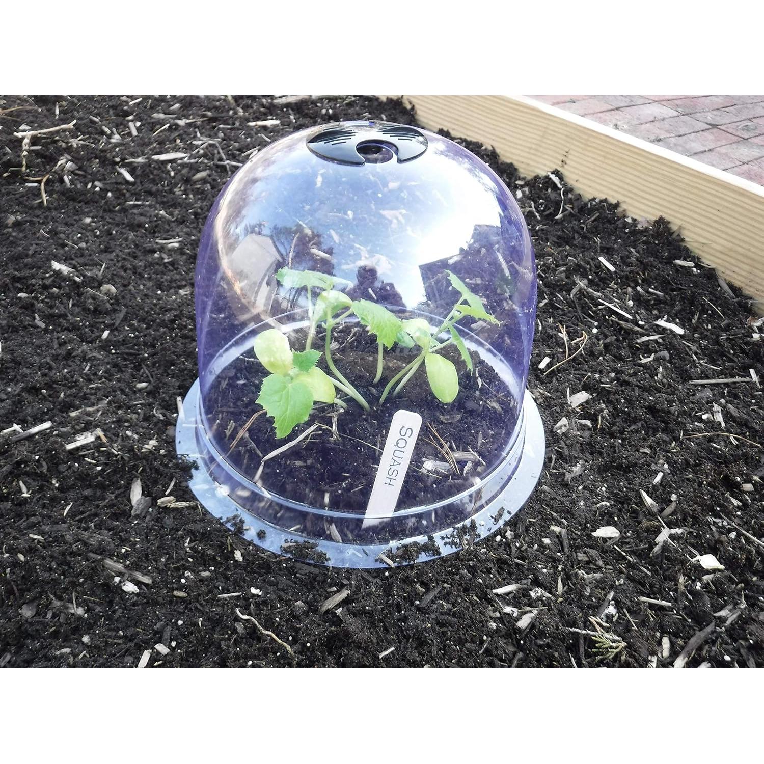 Paquete de 12 Campanas GrowAway Invernadero Reutilizables 26cm