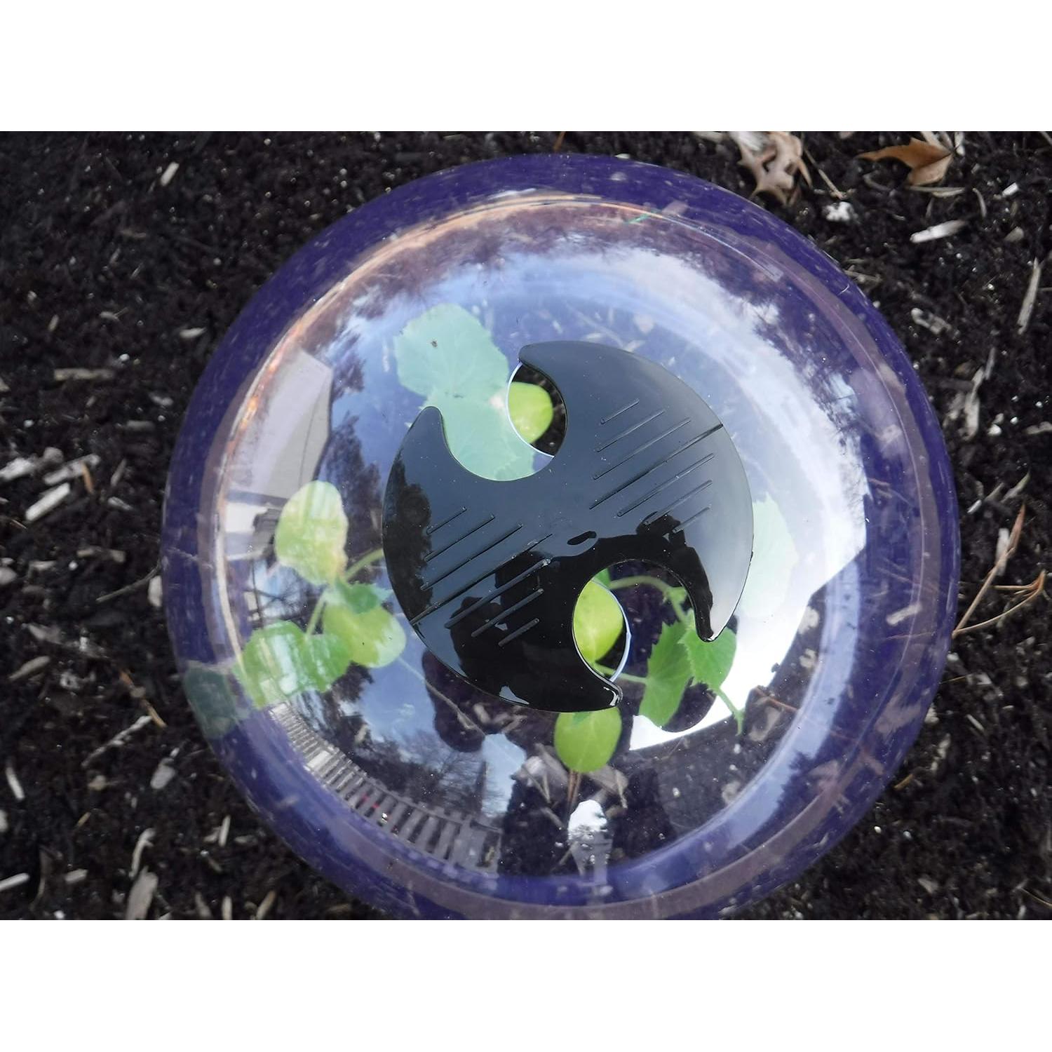 Paquete de 12 Campanas GrowAway Invernadero Reutilizables 26cm