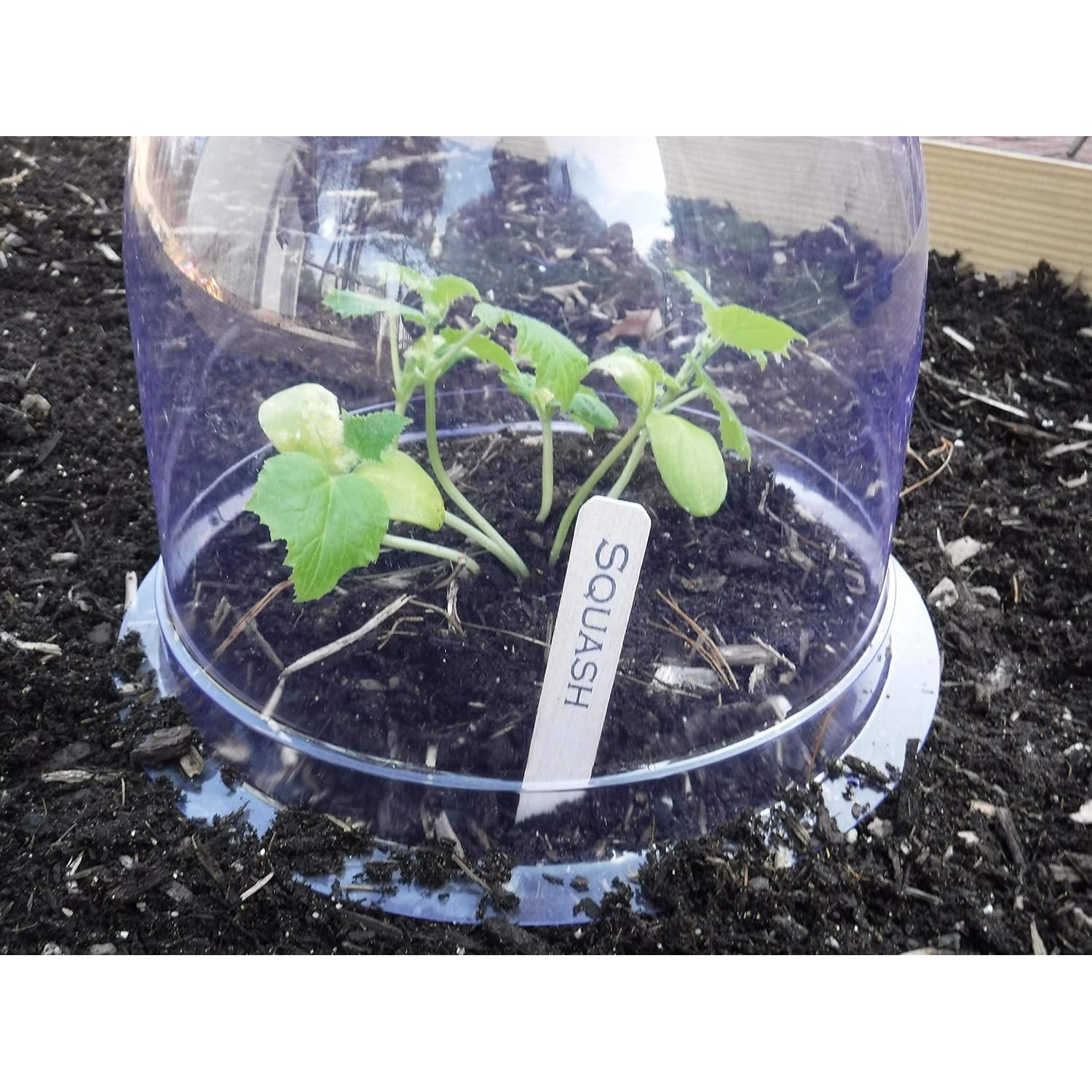 Paquete de 12 Campanas GrowAway Invernadero Reutilizables 26cm