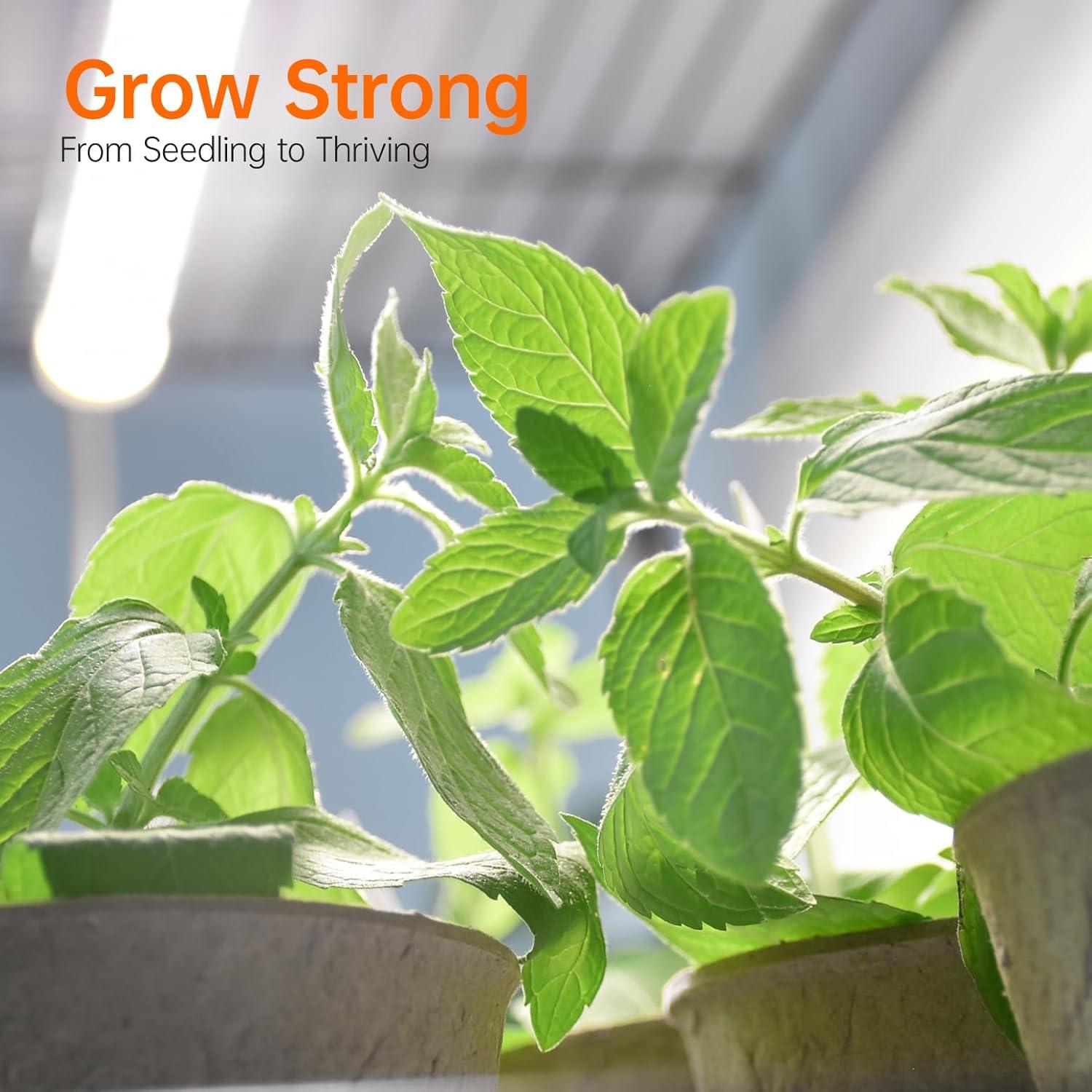 Invernadero Interior Bstrip 27.2x19.9x61.8 cm con Luz 20W