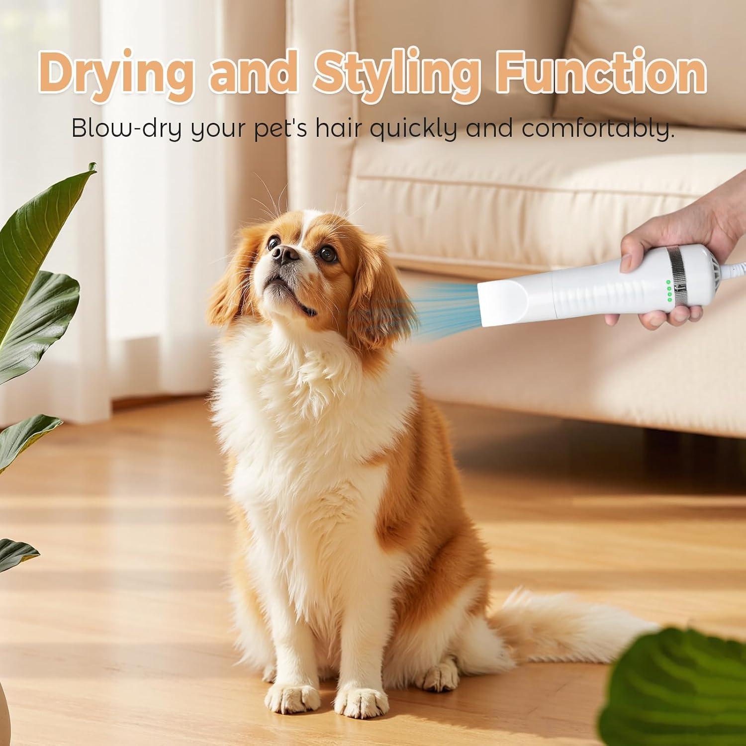 Cepillo de Vapor para Gatos HOB4U 600W con Spray y Secador