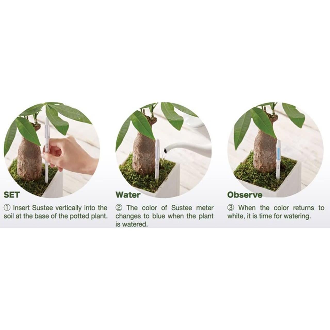 Medidor de Humedad del Suelo SUSTEE Aquameter Verde - Paquete de 2