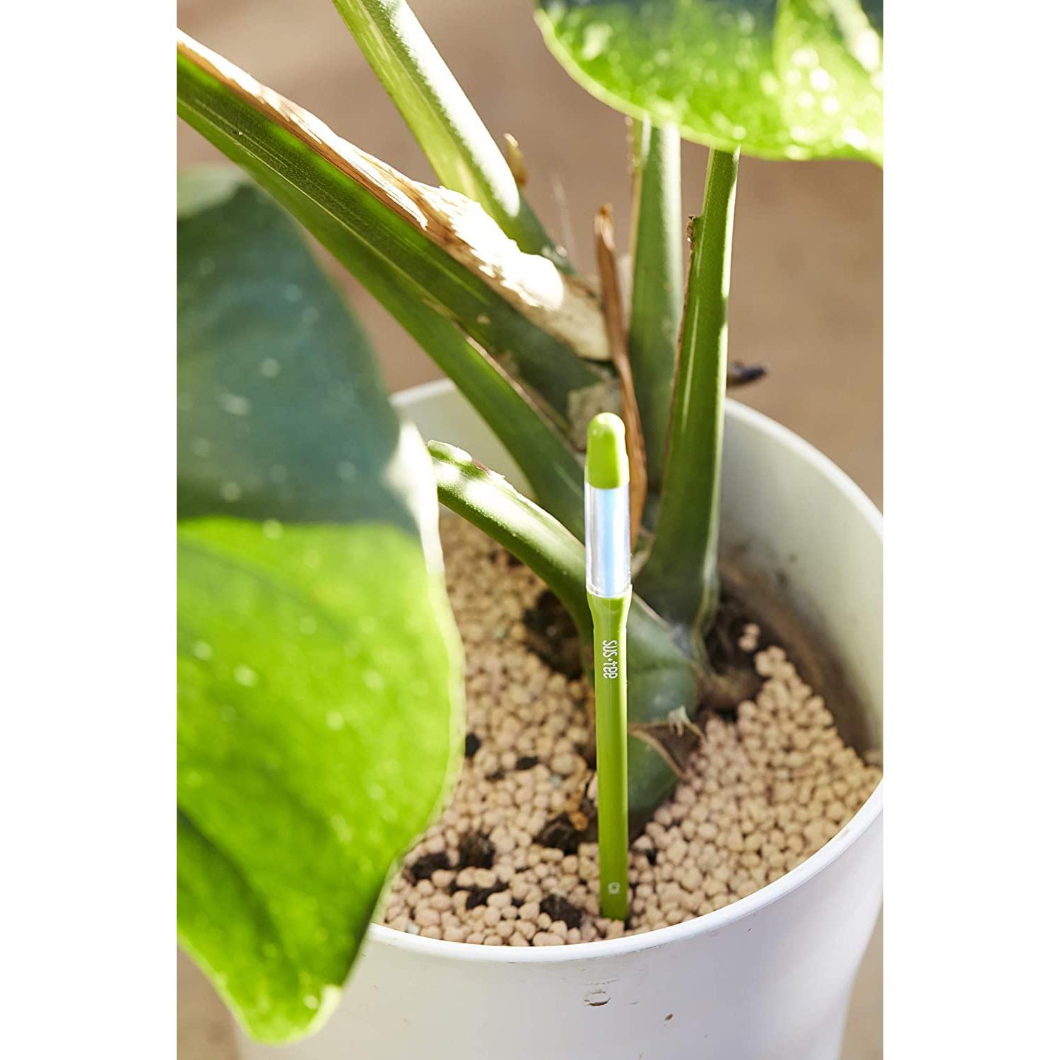 Medidor de Humedad del Suelo SUSTEE Aquameter Verde - Paquete de 2