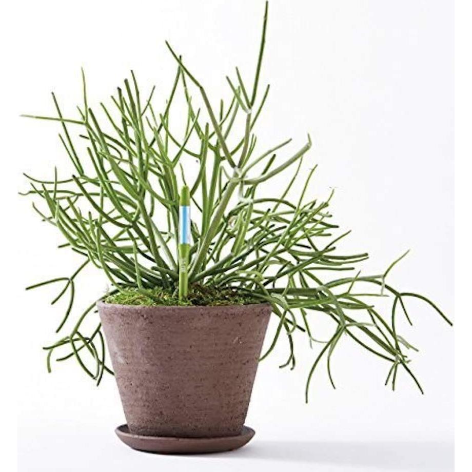 Sensor de Humedad del Suelo SUSTEE Aquameter Set de 4 Verde