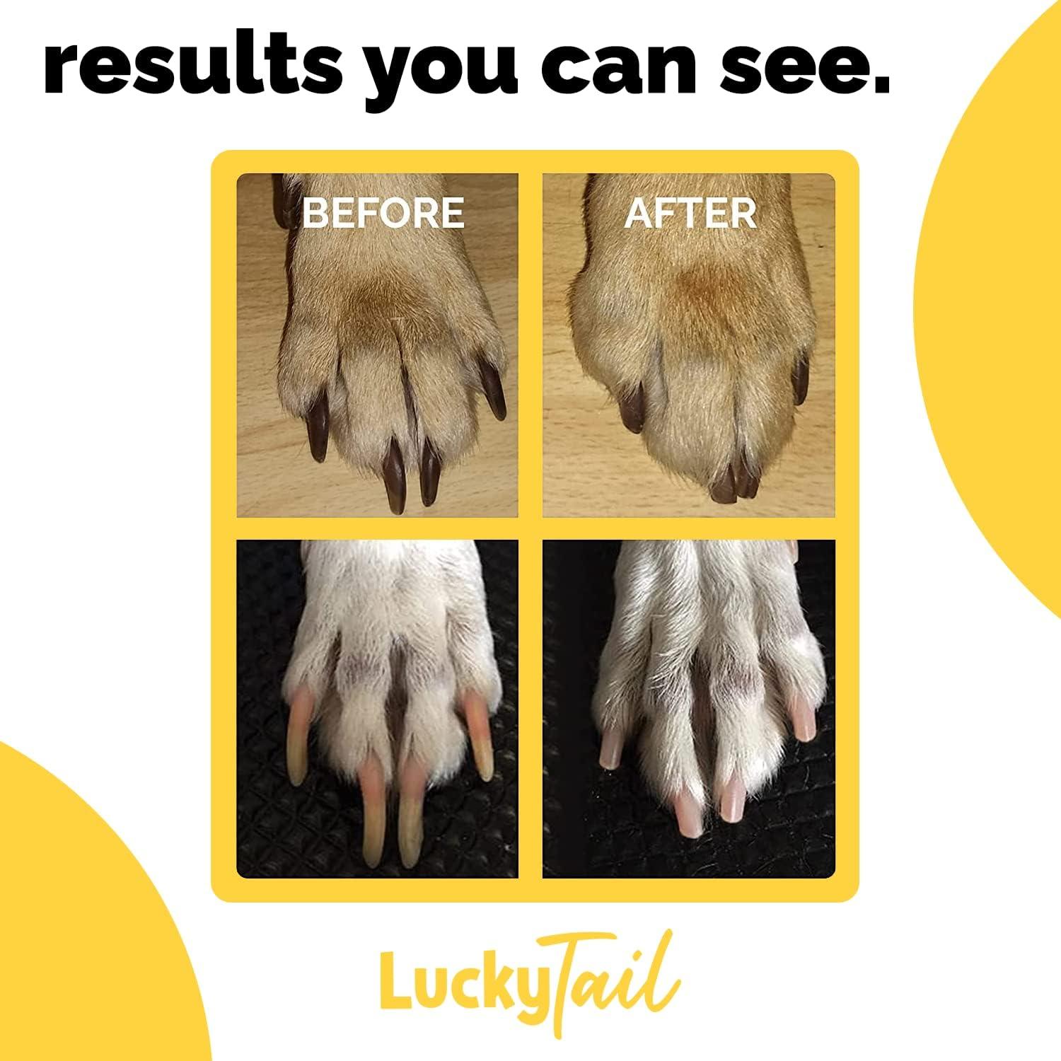 LuckyTail Amoladora de Uñas para Perros - Kit de 3 Cabezal Regular, Duro y Suave