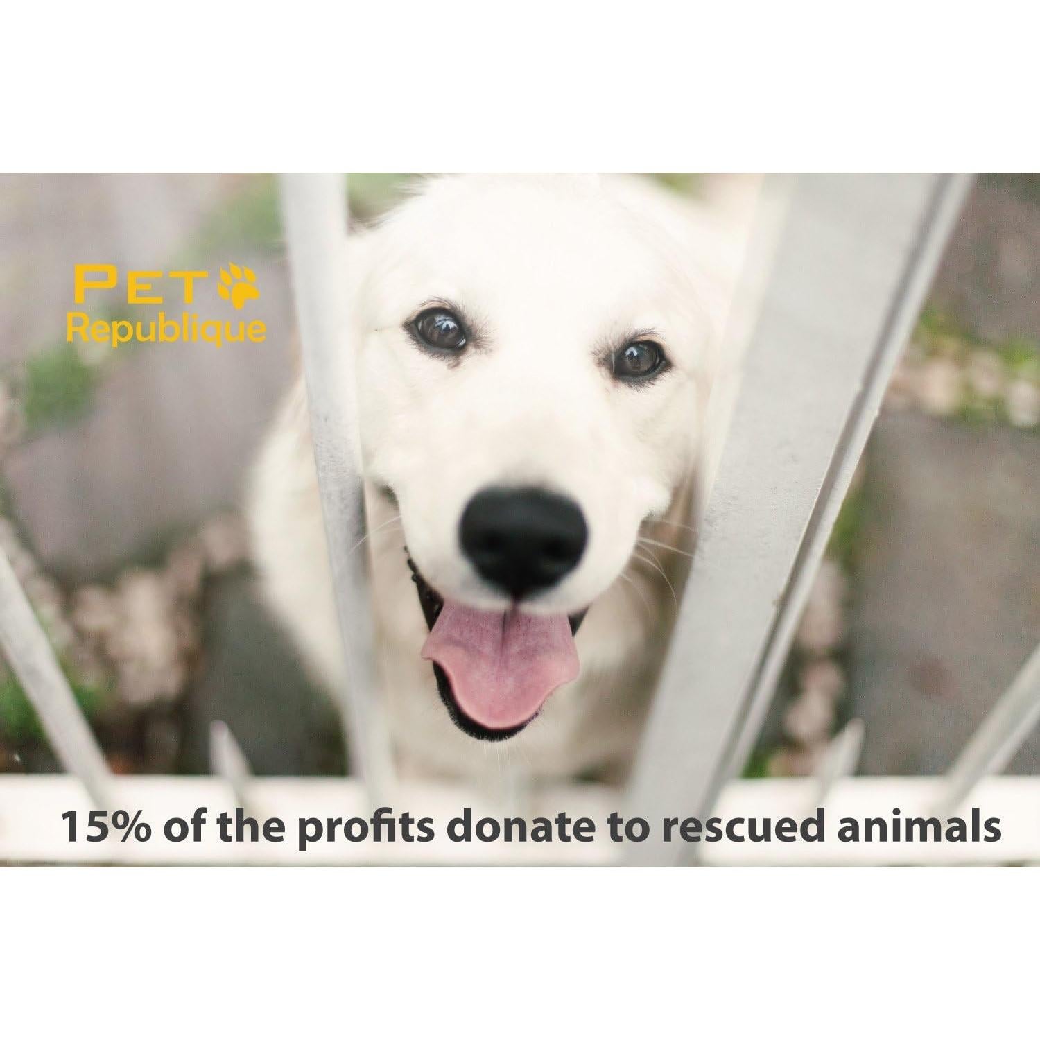 Lima de Uñas Eléctrica Pet Republique - 2 Velocidades, Silenciosa