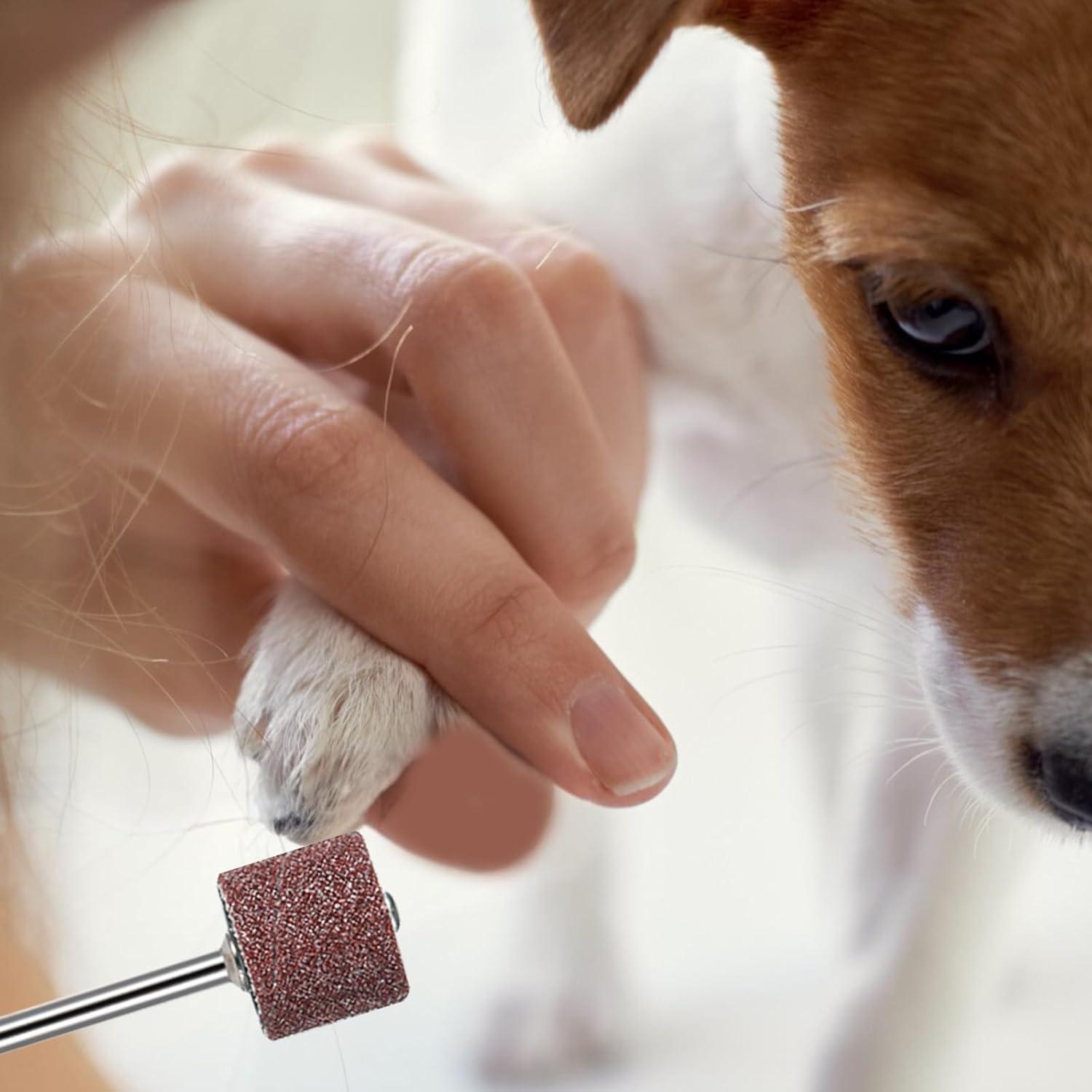 Kit de 42 Piezas para Amoladora de Uñas Dimeho - Grano 80/120
