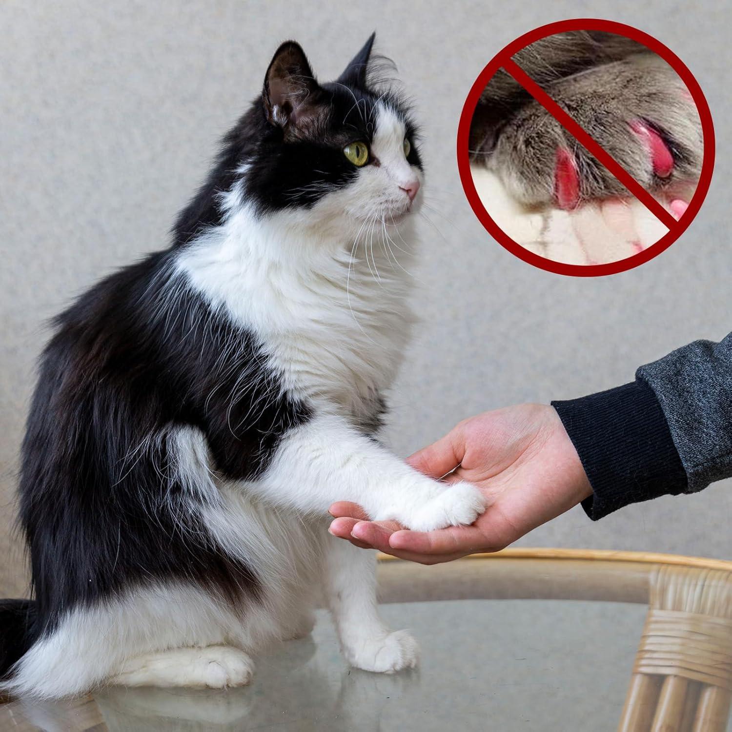 Kit de 42 Piezas para Amoladora de Uñas Dimeho - Grano 80/120