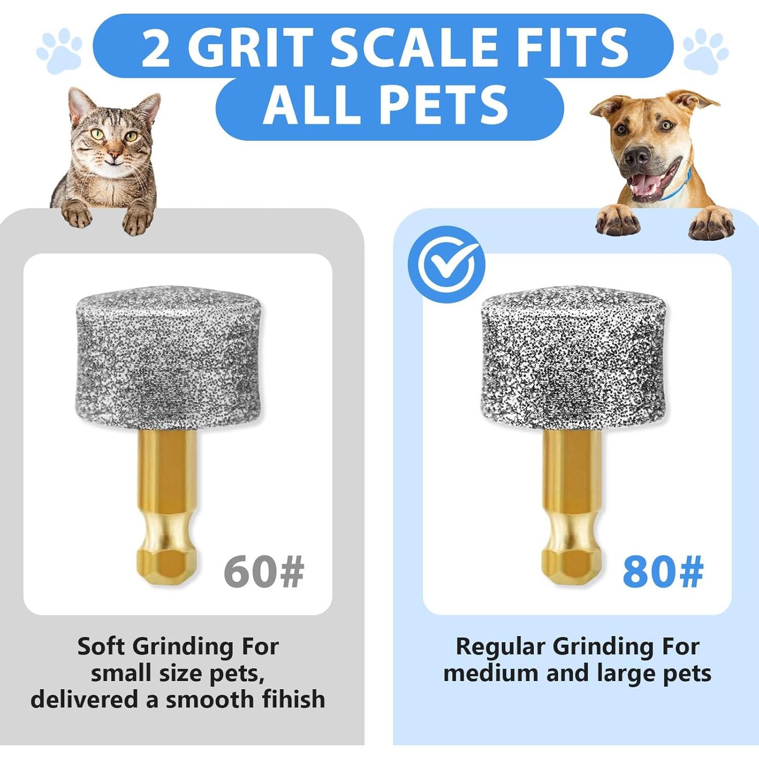 Cabezas de Molido de Diamante para Uñas de Perro - 6 Piezas