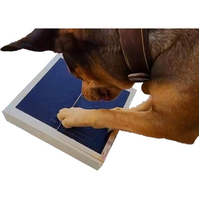 Caja de Raspado para Perros y Gatos Bridge Cutters 25.4cm