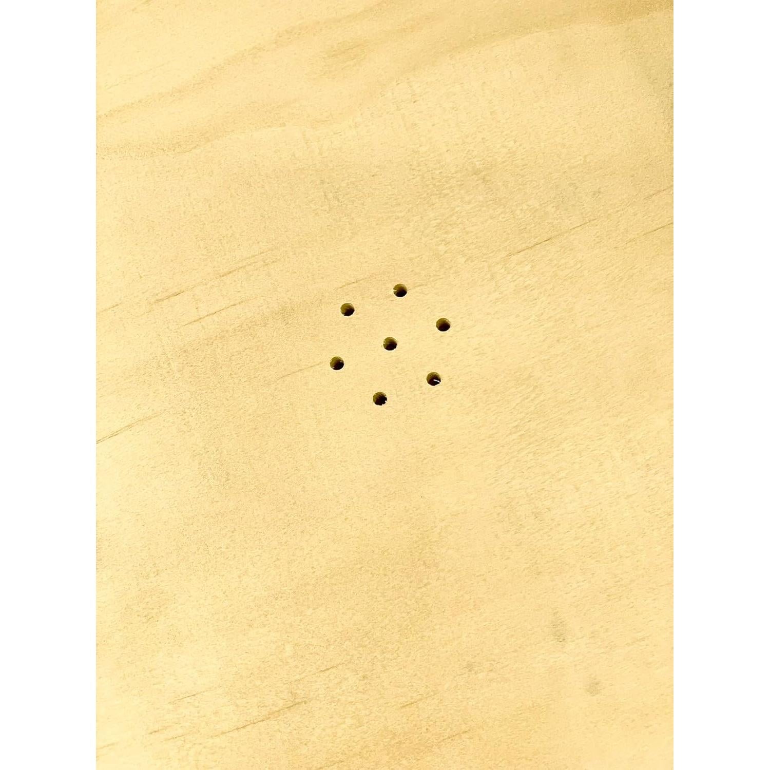 Caja de Raspado para Perros y Gatos Bridge Cutters 25.4cm