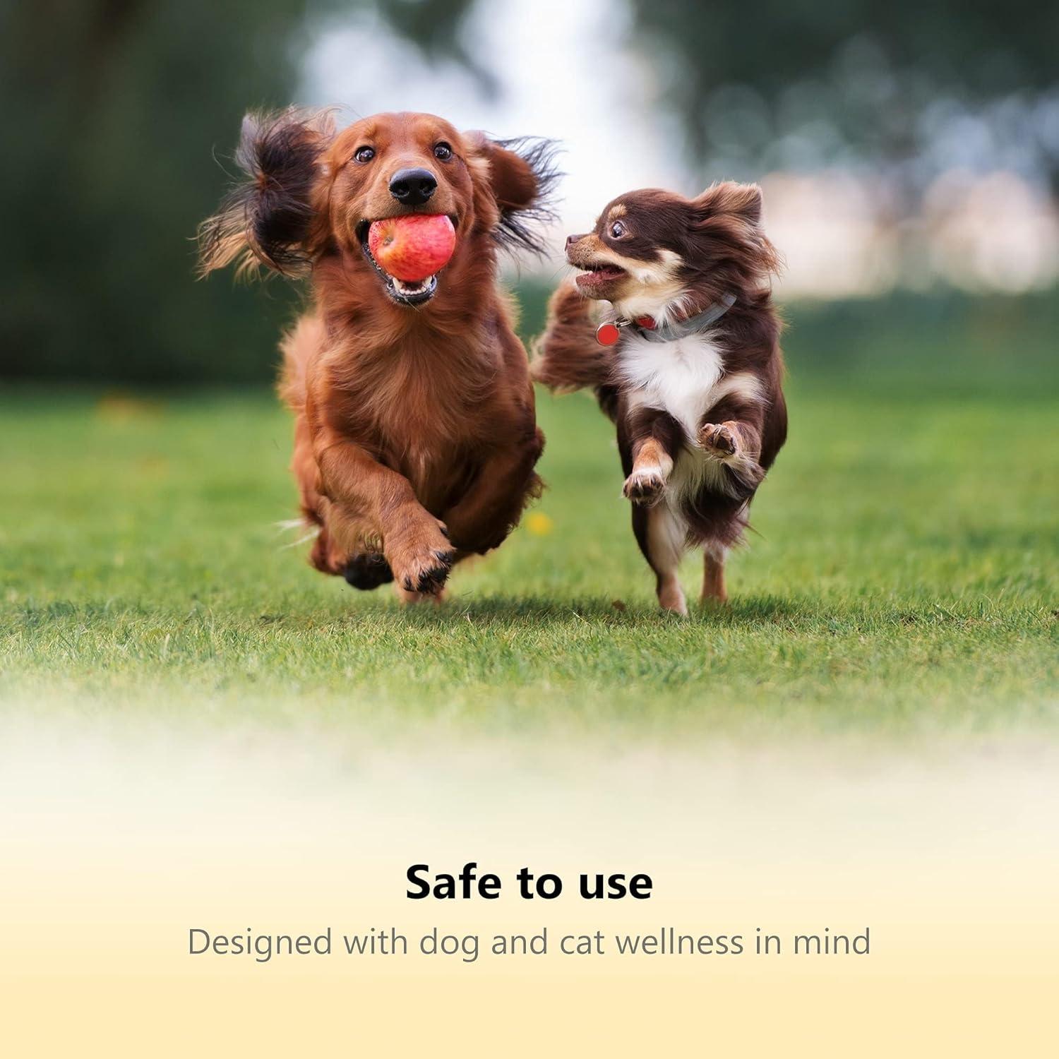 Cortauñas LED Thunderpaws para Perros y Gatos - Mediano-Grande