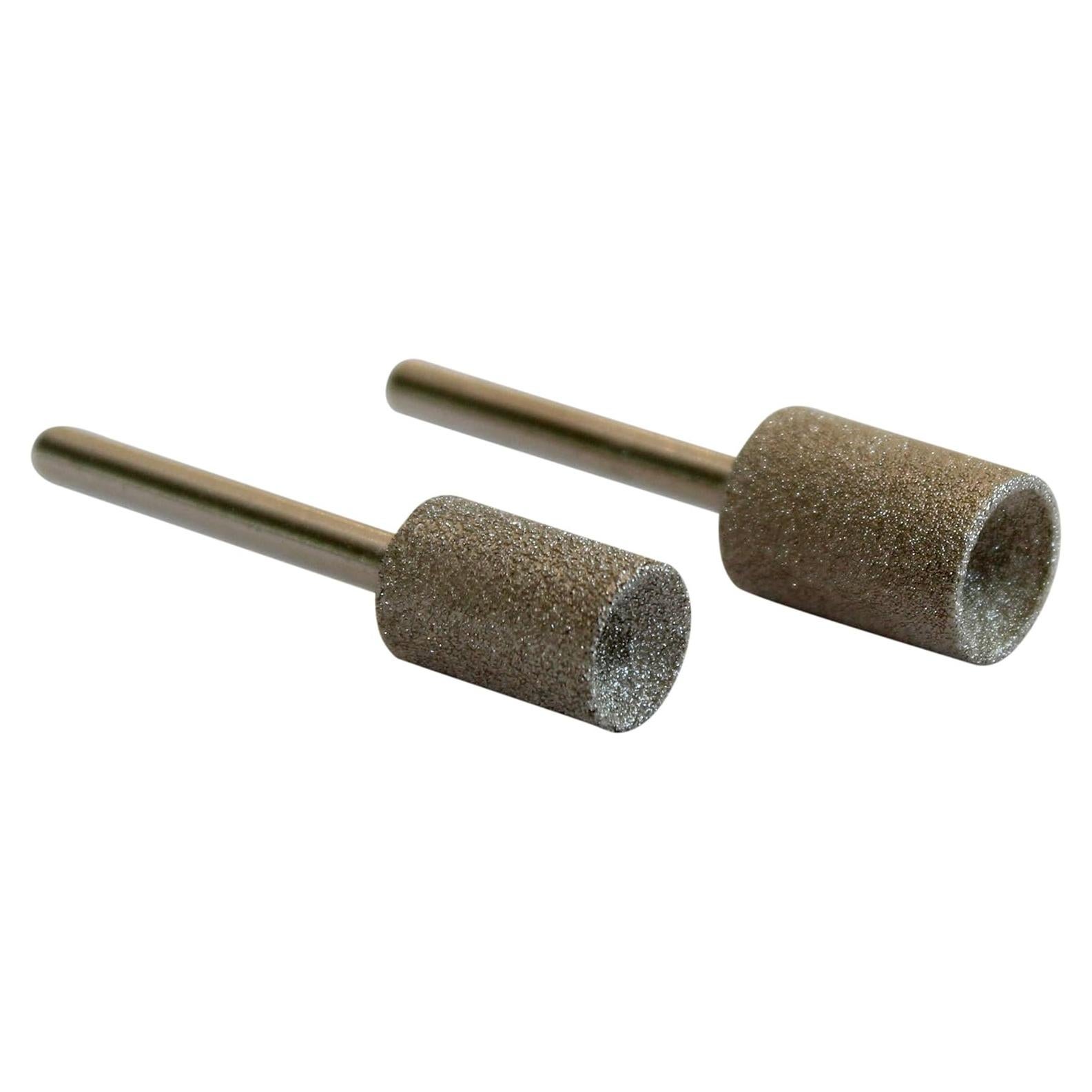 Brocas de Amoladora Rotativa Diamondg para Uñas de Perro - 2 Piezas