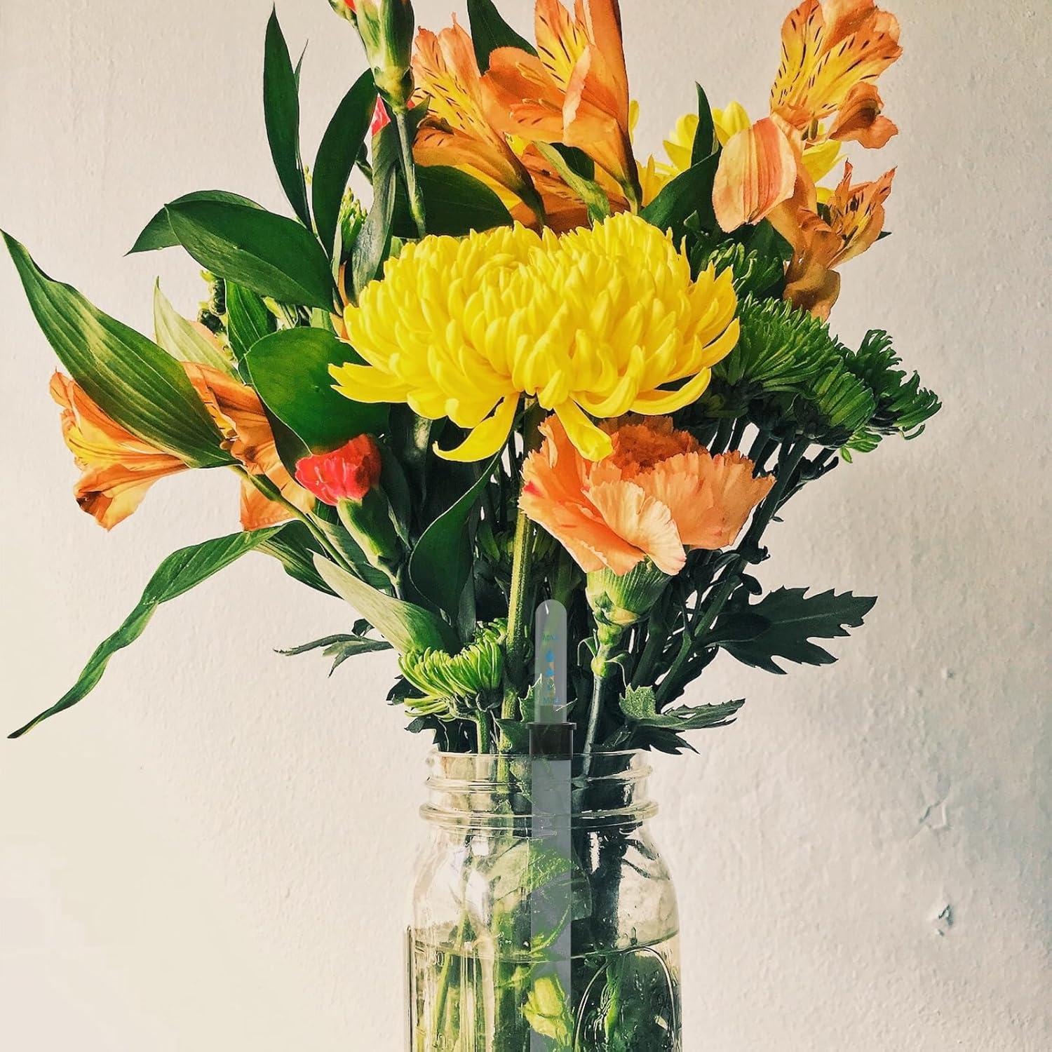 4 Indicadores de Nivel de Agua para Plantas Angoily - 9.4 a 25.9 cm