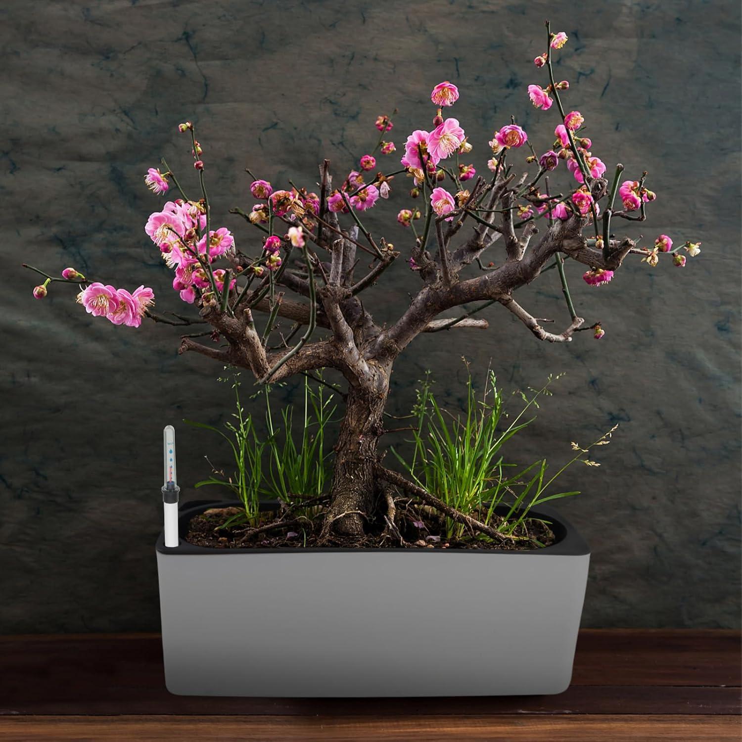 Medidores de Nivel de Agua para Plantas GANAZONO 2 Pcs