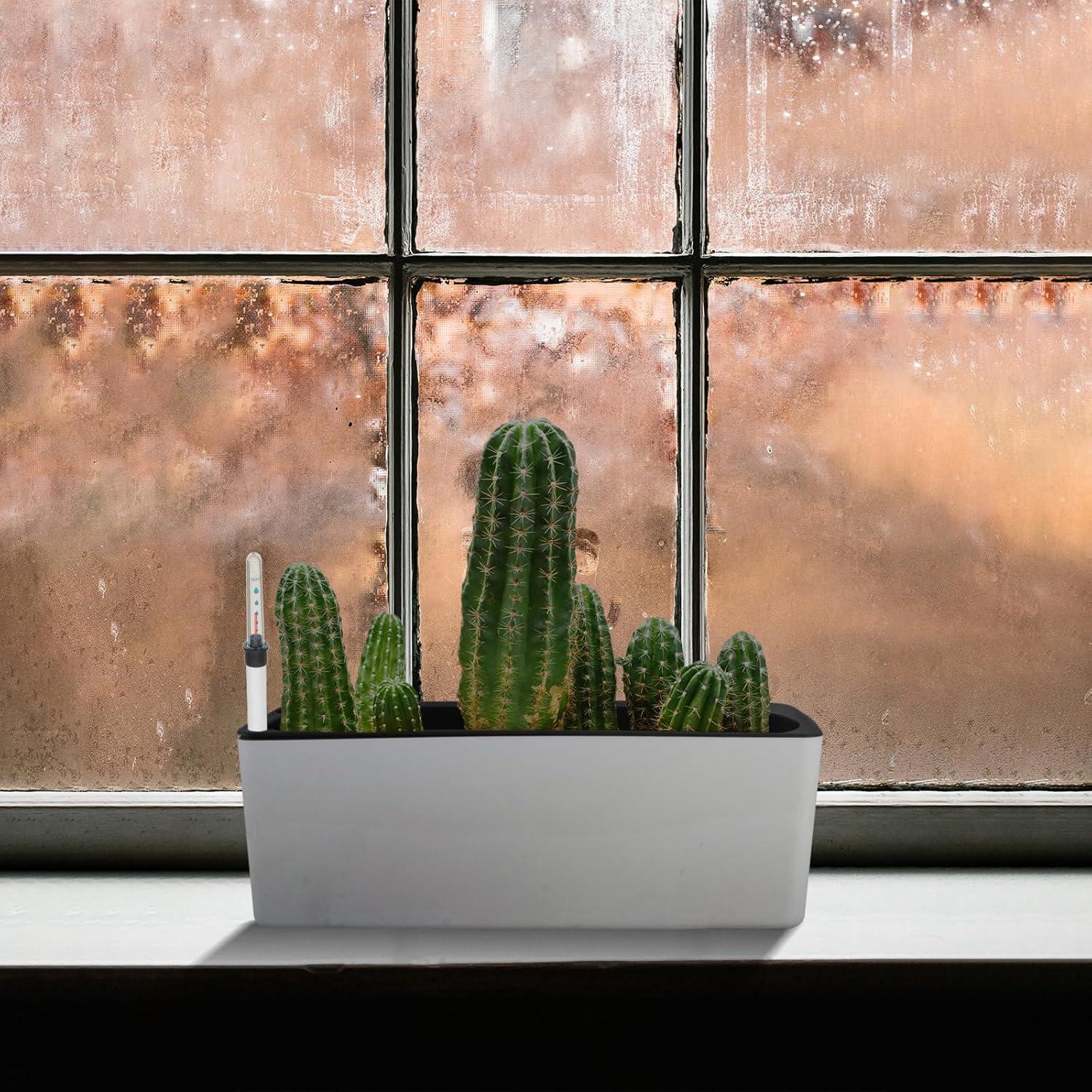 Medidores de Nivel de Agua para Plantas GANAZONO 2 Pcs