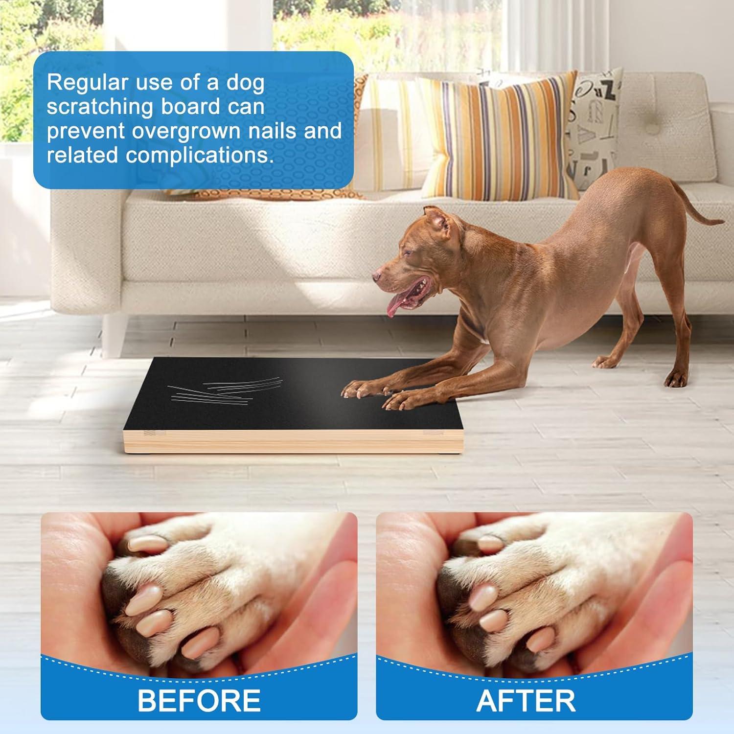 Alfombrilla para Uñas de Perro Xipet con Papel de Lija Incluido