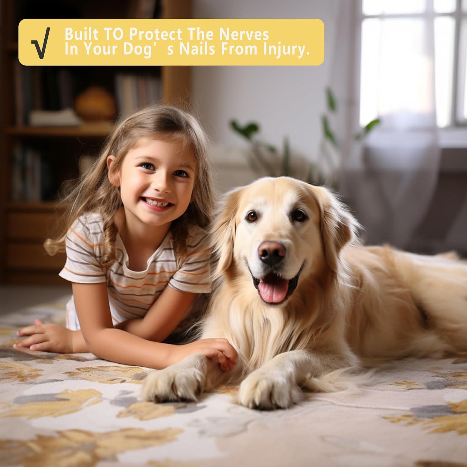 Cabezal de Repuesto IVEKEN para Amoladora de Uñas de Perro - 5 Piezas