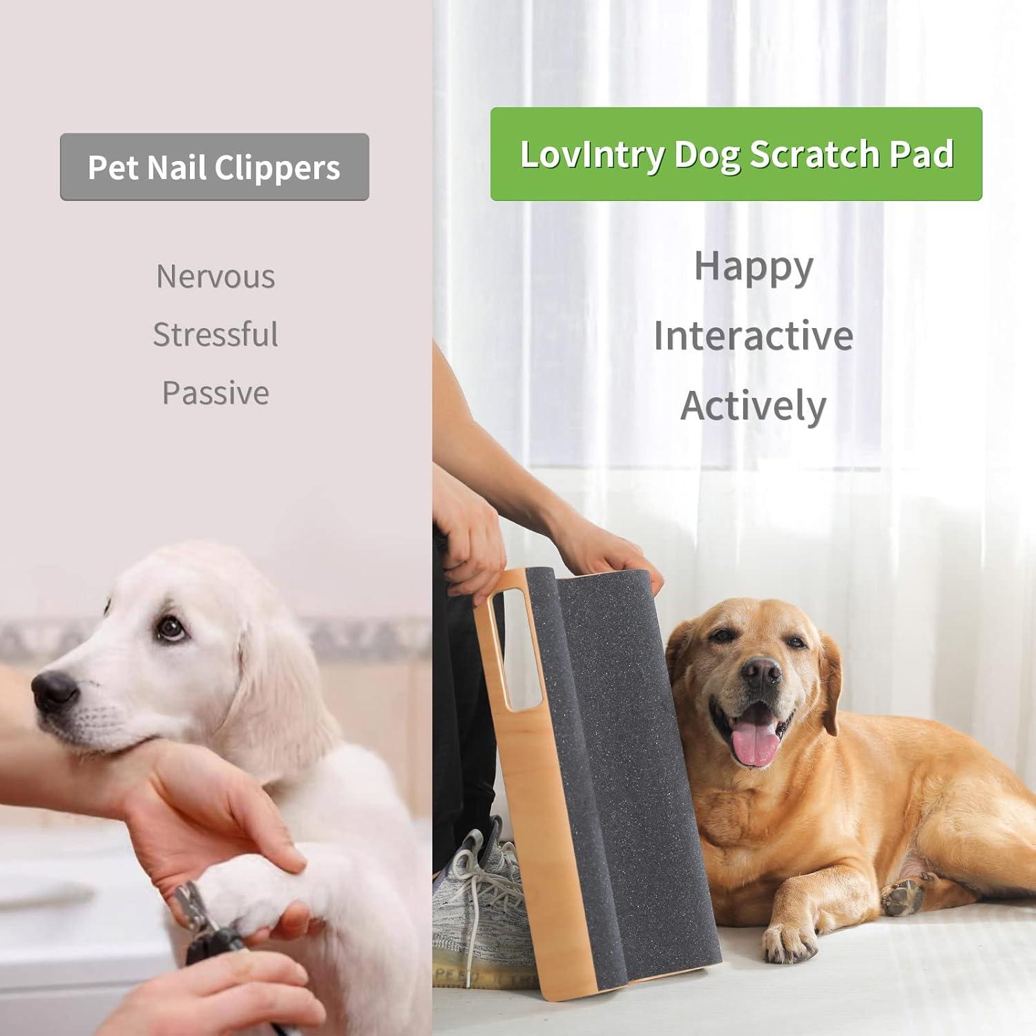 Almohadilla para Rascar en M LovIntry para Perros Tamaño M